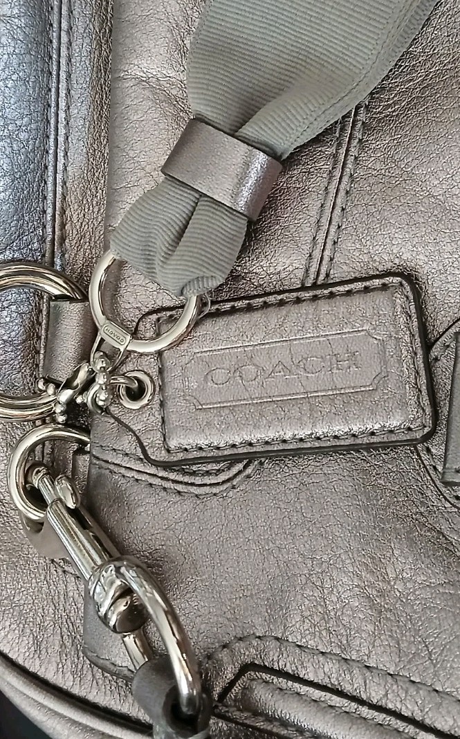 Coach Designer Satchel Poppy Handbag Metallic Silver Fabulous Push Lock