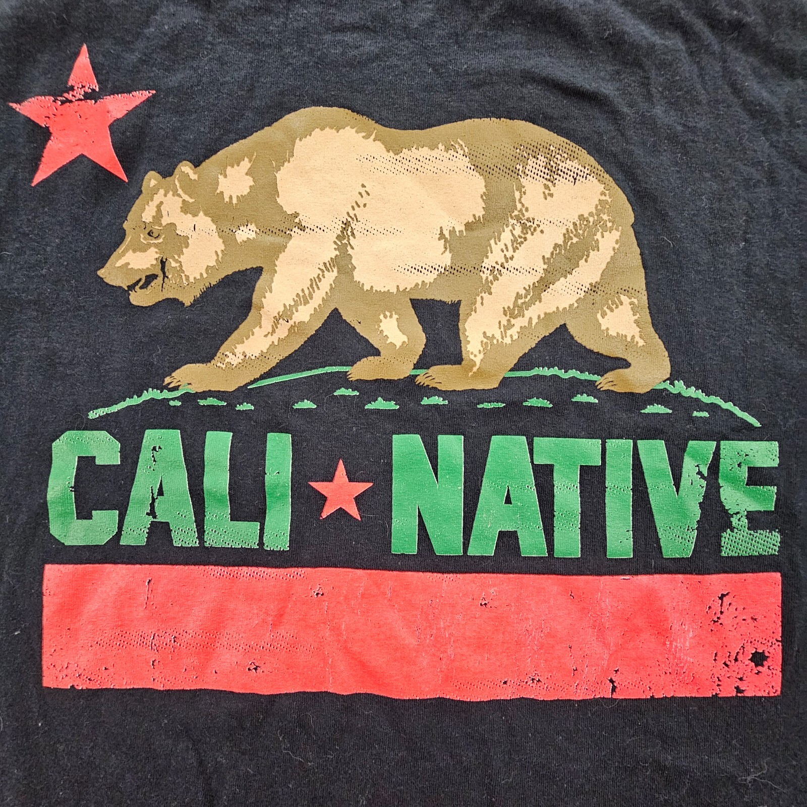 Tony Hawk Cali Native CA Bear Flag Black Short Sleeve Cotton T-Shirt Men’s S
