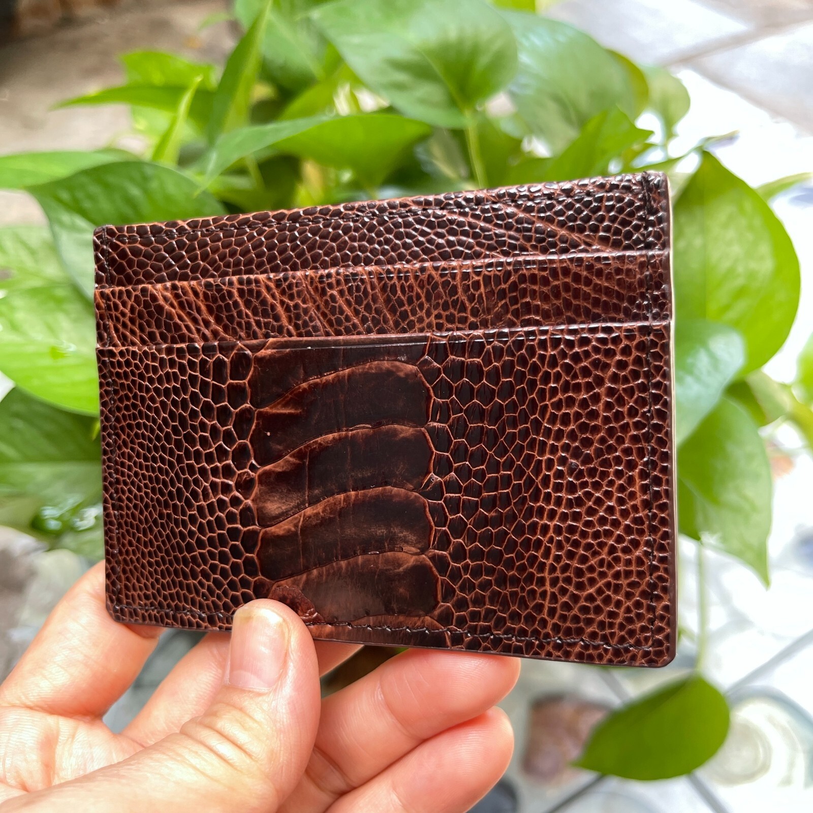 BrownGENUINE OSTRICH LEATHER SKIN CREDIT CARD HOLDER/ WALLET CARD HOLDER FOR MEN