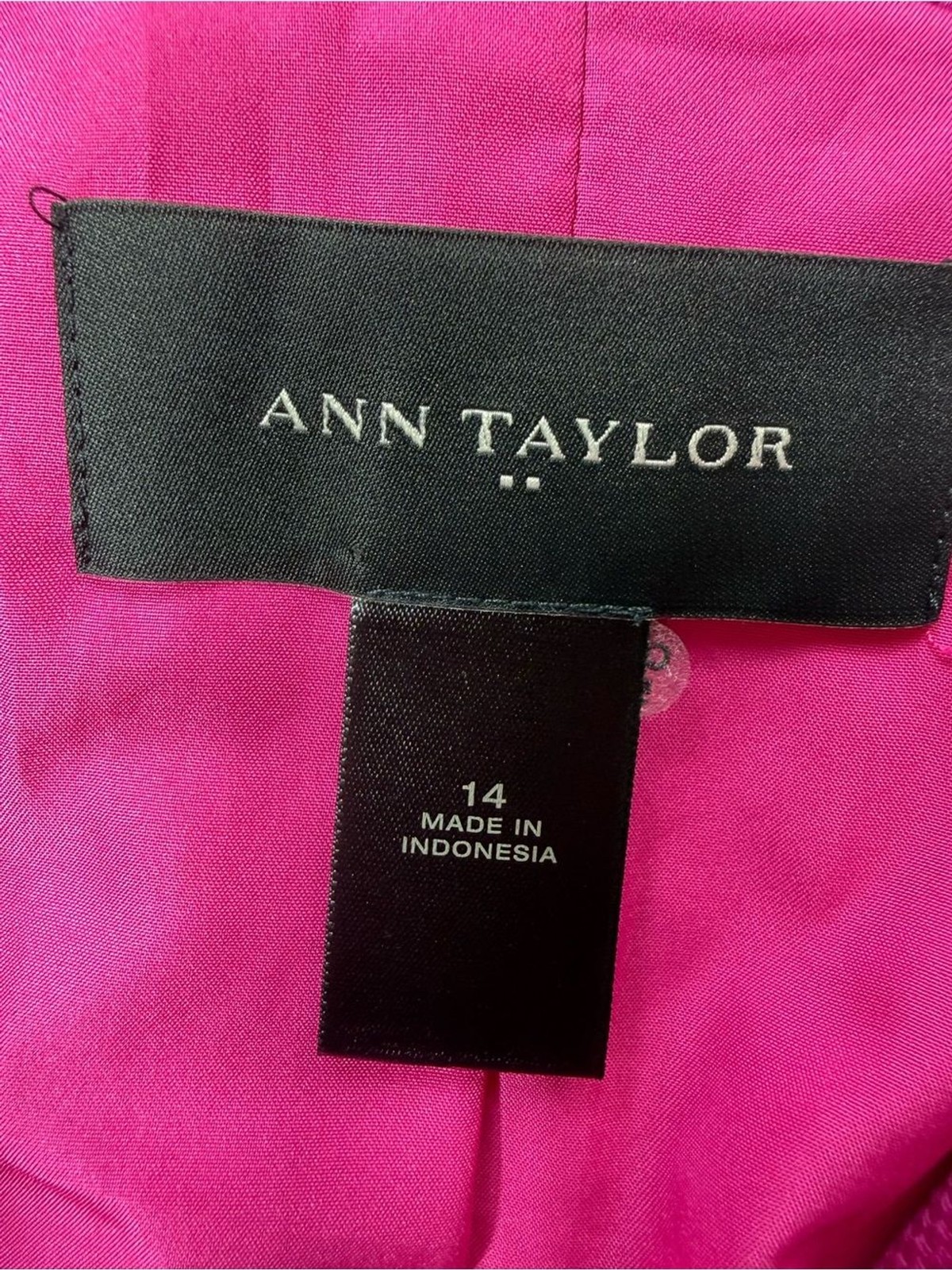Ann Taylor Hot Pink Blazer Fuchsia Tailored Size 14