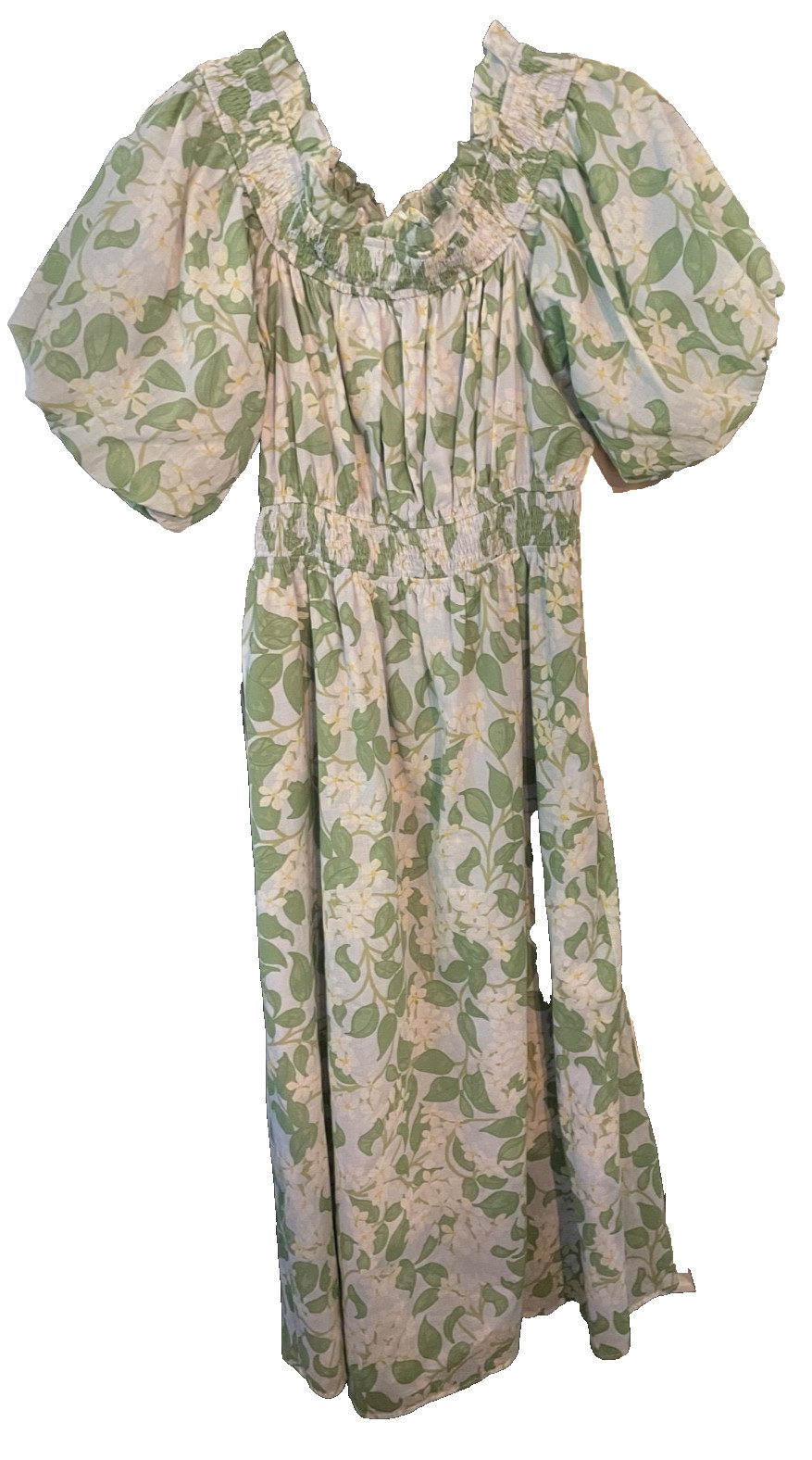 Sugarlips Kiany Floral Magna Town Maxi Dress in Lt-Blue-Green Size M – NWT