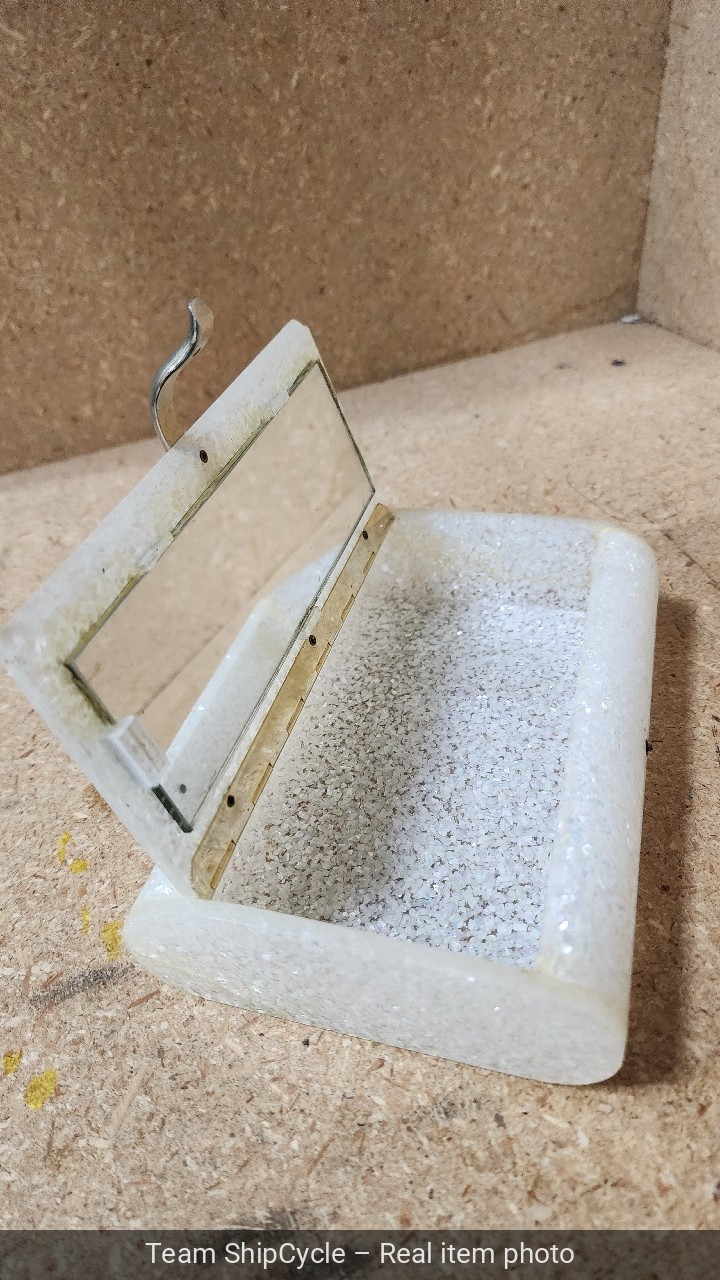 Vintage Sparkling Lucite Wilardy Clutch purse with Goldtone Accent G2U