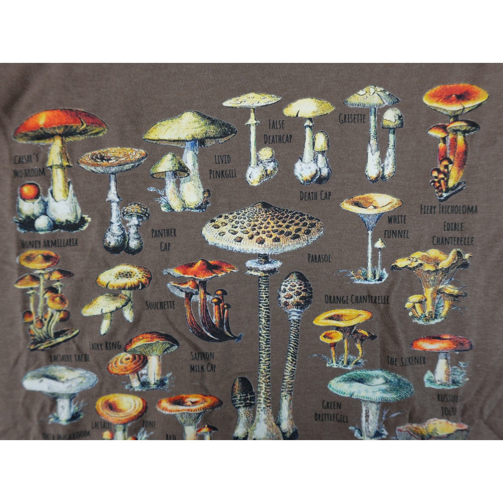 Comfort Colors Mushroom Identification Graphic T-Shirt Mens Small Brown Cotton