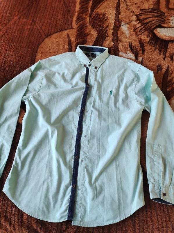 Men Polo by SH shirt turquoise cotton 42/XL/50