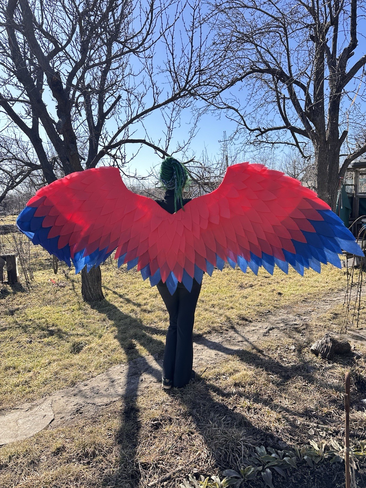 Red Angel Wings Costume Red Blue Angel Wings