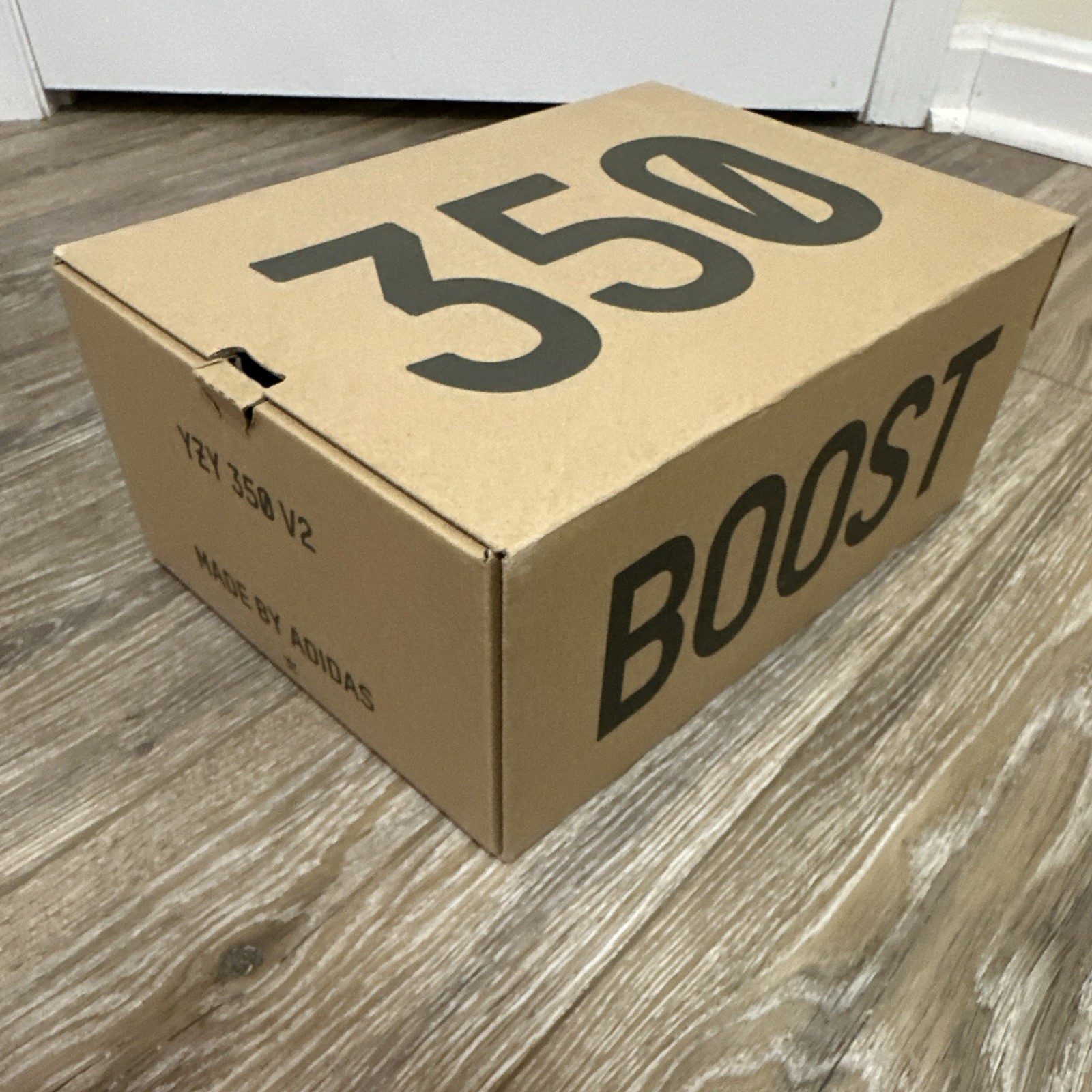 adidas Yeezy Boost 350 V2 Carbon Beluga reflective