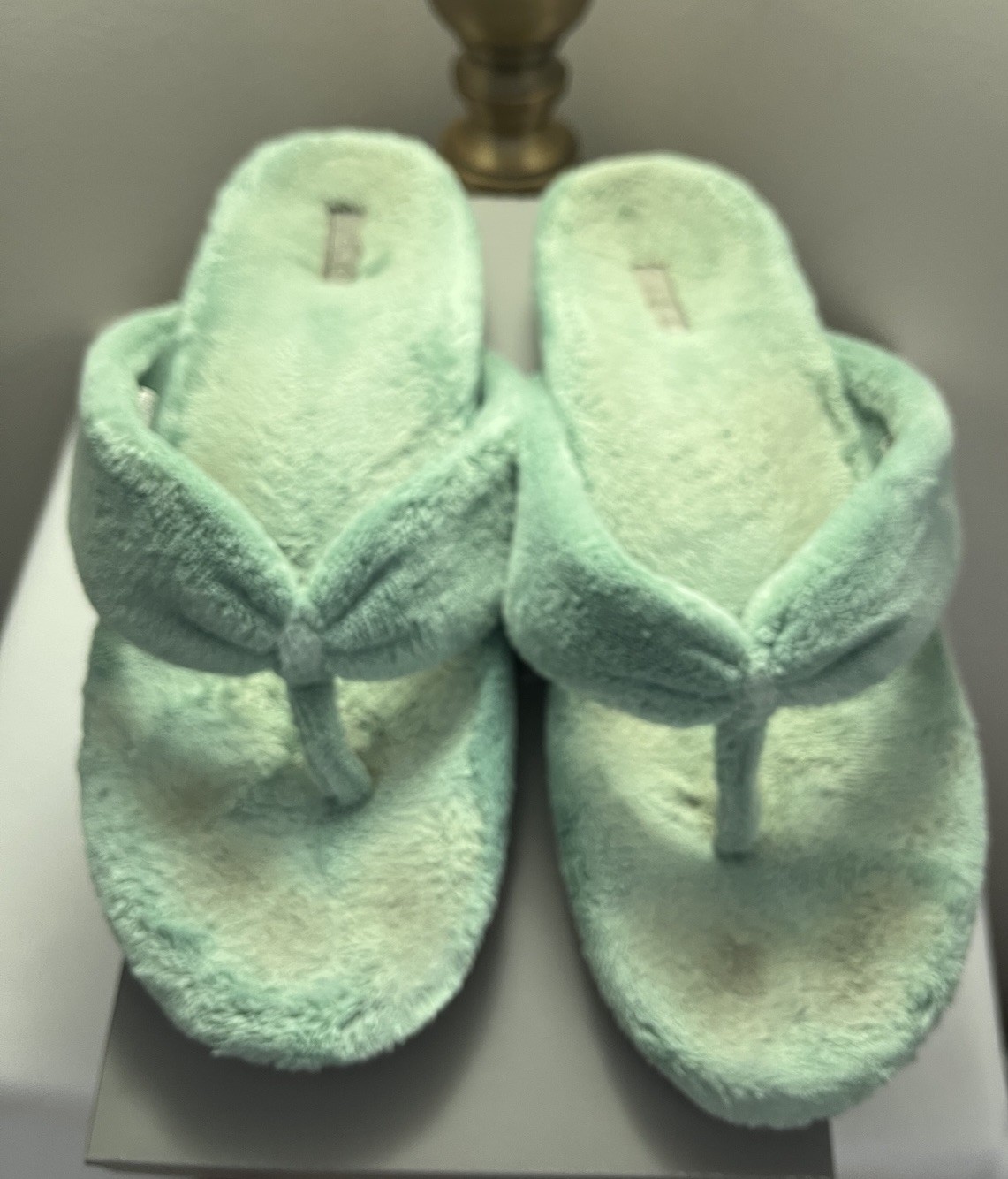 Women’s Vionic Slippers, Lydia Terry Thong Frosted Spearmint Green Sz 11, IN BOX