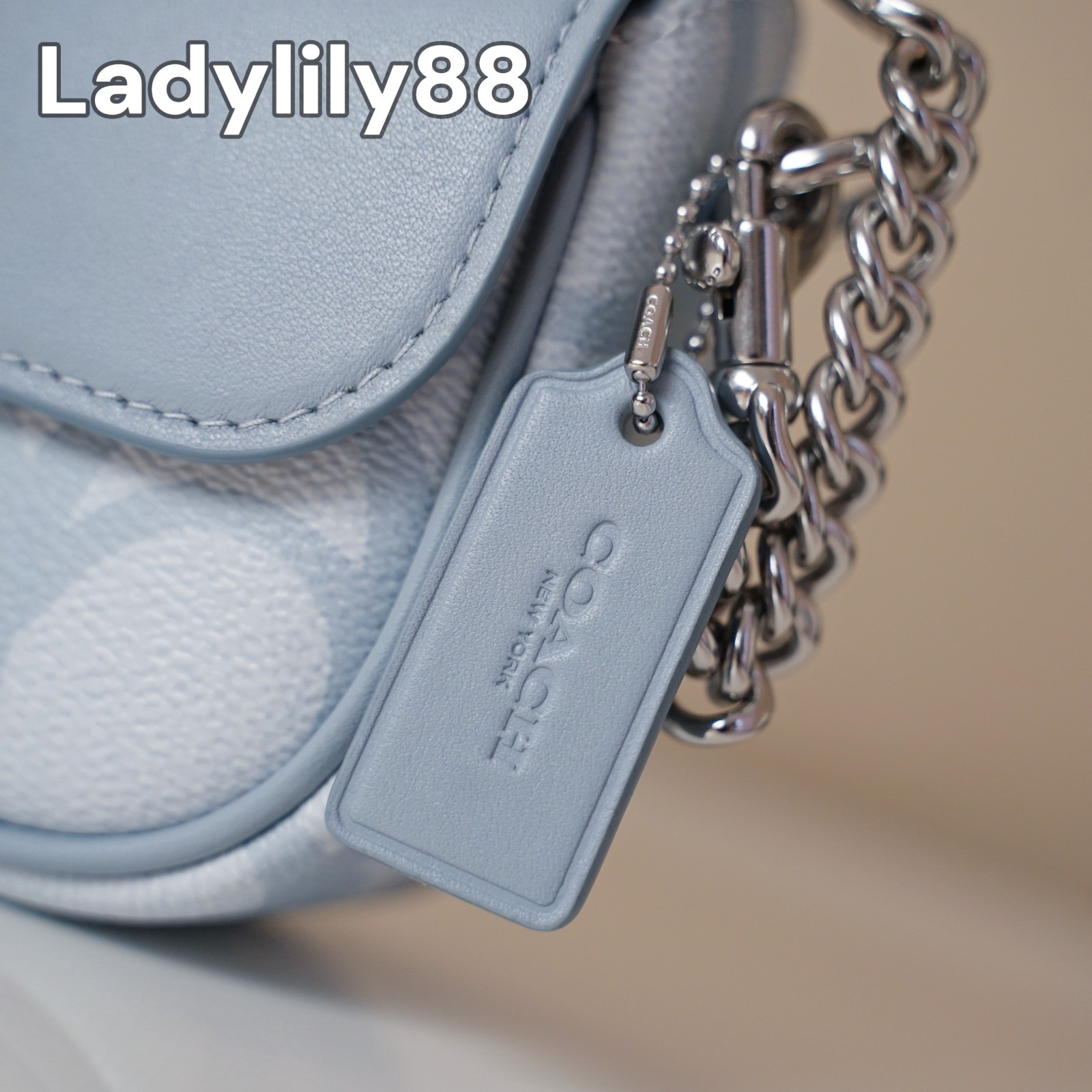 NWT Coach CBJ18 Hailey Flap Bag In Sketch Signature Canvas Smooth Leather $298