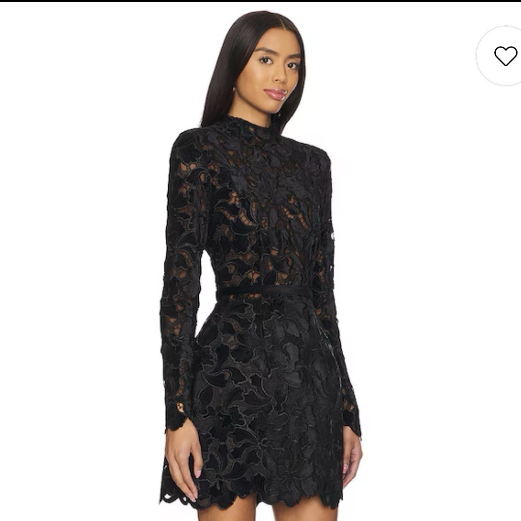 Nadine Merabi Black Floral Lace Embroidered Mini Dress XS High Neck Long Sleeve