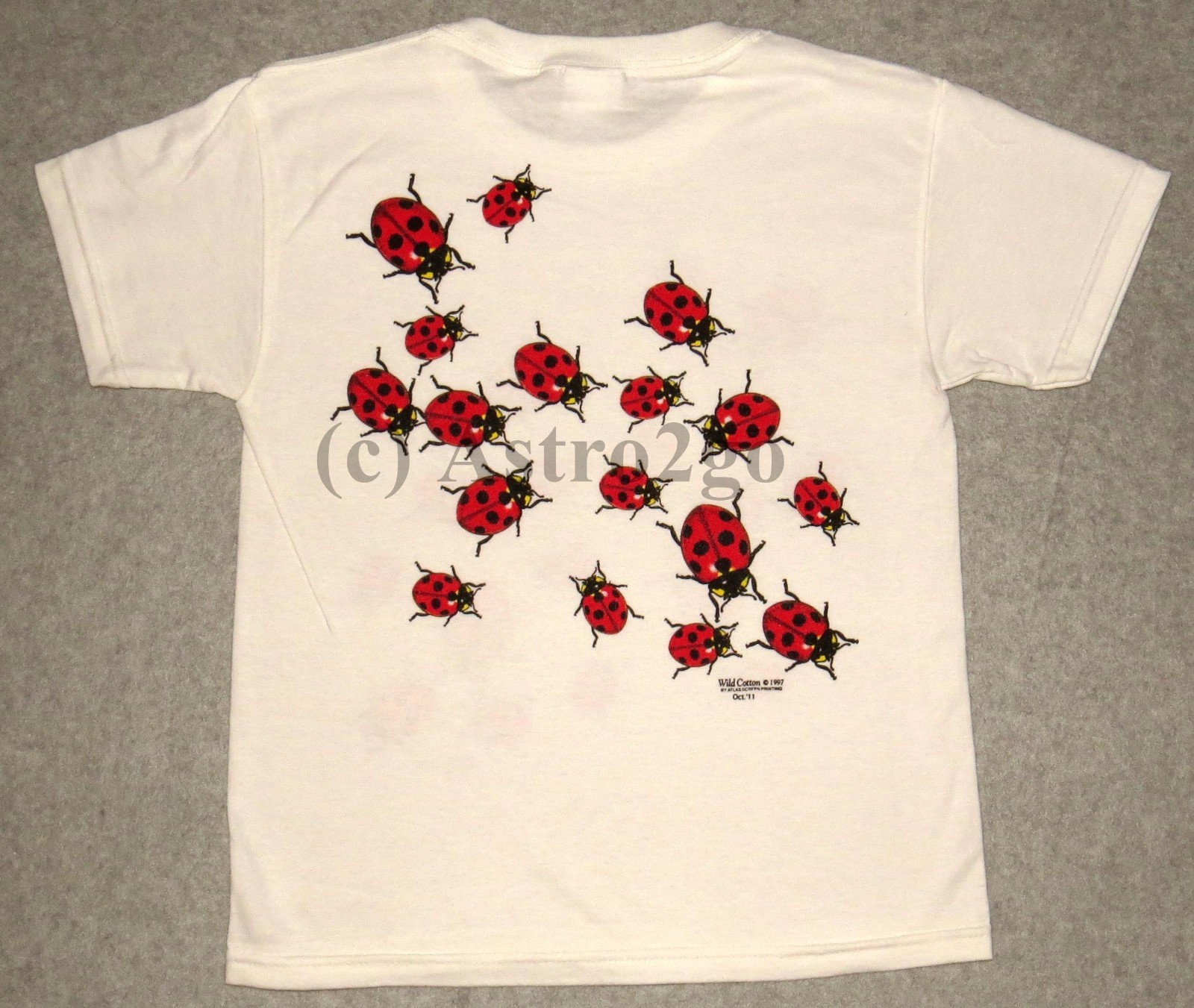 LADYBUGS–Beetles Bugs Insects Science Nature 2 sided Kids T shirt XS (2-4)