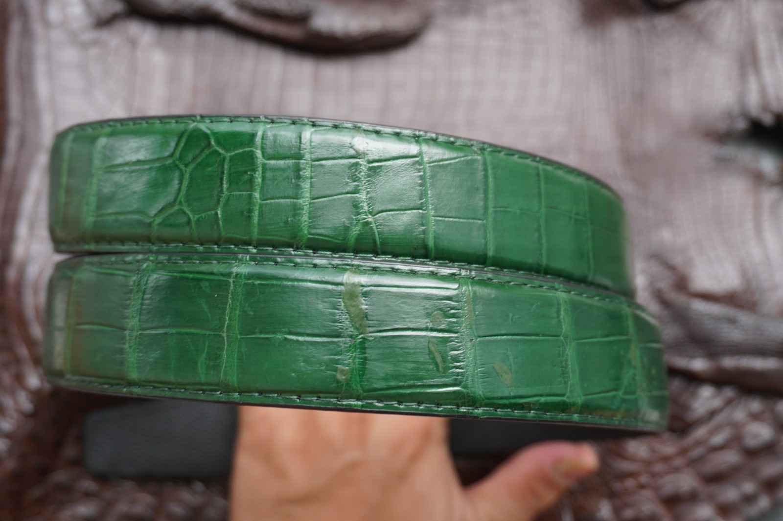 W 1.3 inch – Green Genuine Crocodile Belly Leather Skin Men’s Belt #L50
