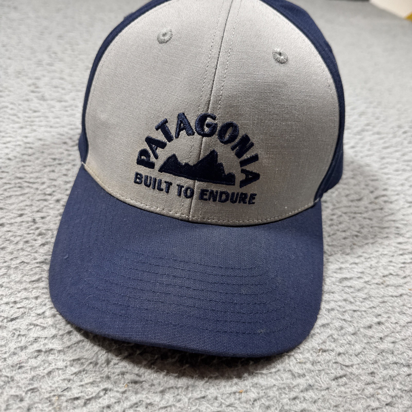 Patagonia Built To Endure Cap Spell Out Logo Snap Back Hat Geologer Roger That