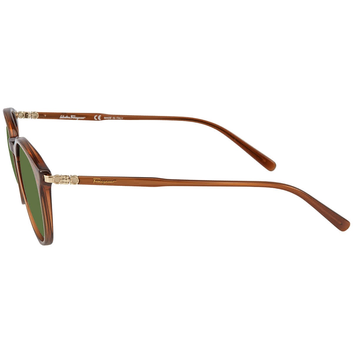 Salvatore Ferragamo Green Round Sunglasses SF911S 210 53 SF911S 210 53