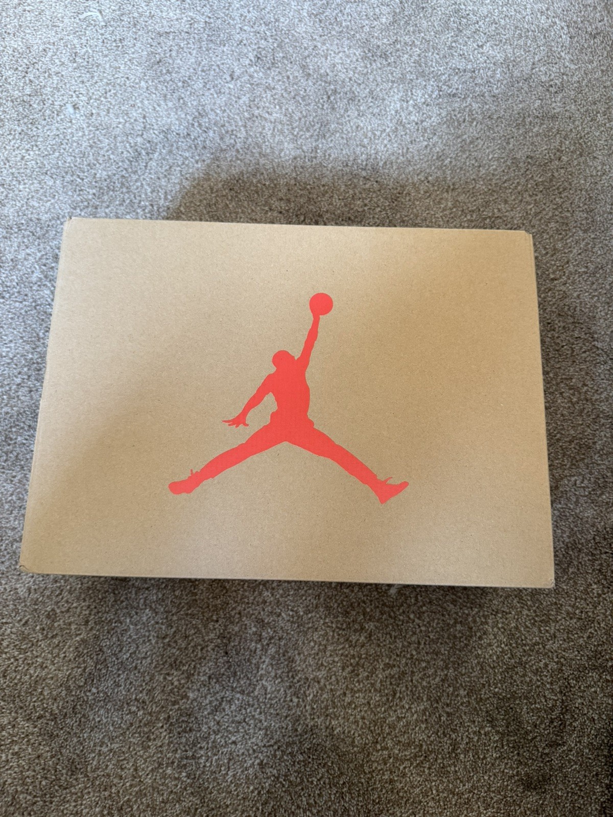 Air Jordan 6 Retro Reverse Infrared Leather Sneakers CT8529-001