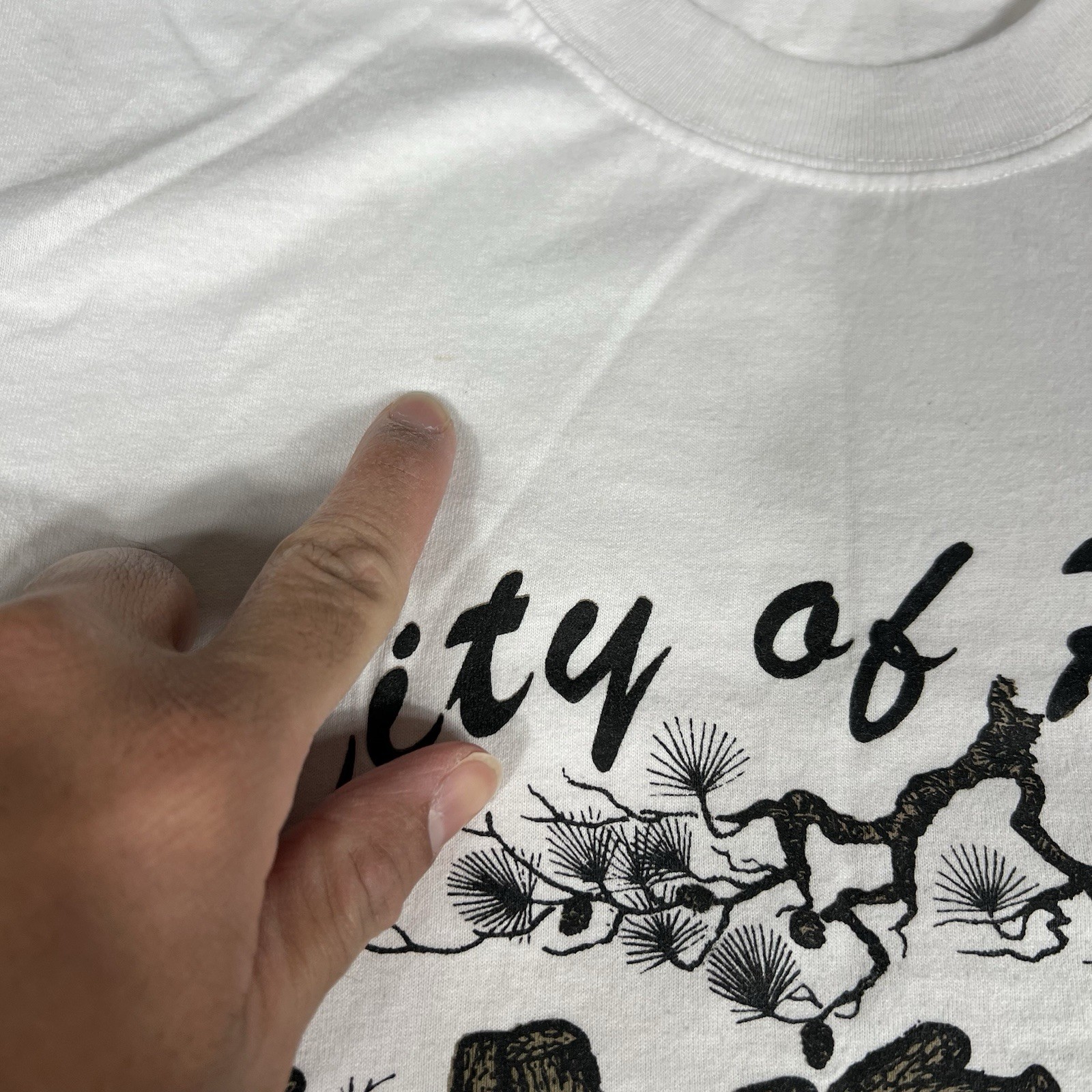 Philippines T-Shirt Mens Medium City of Pines Baguio unisex M filipino maganda