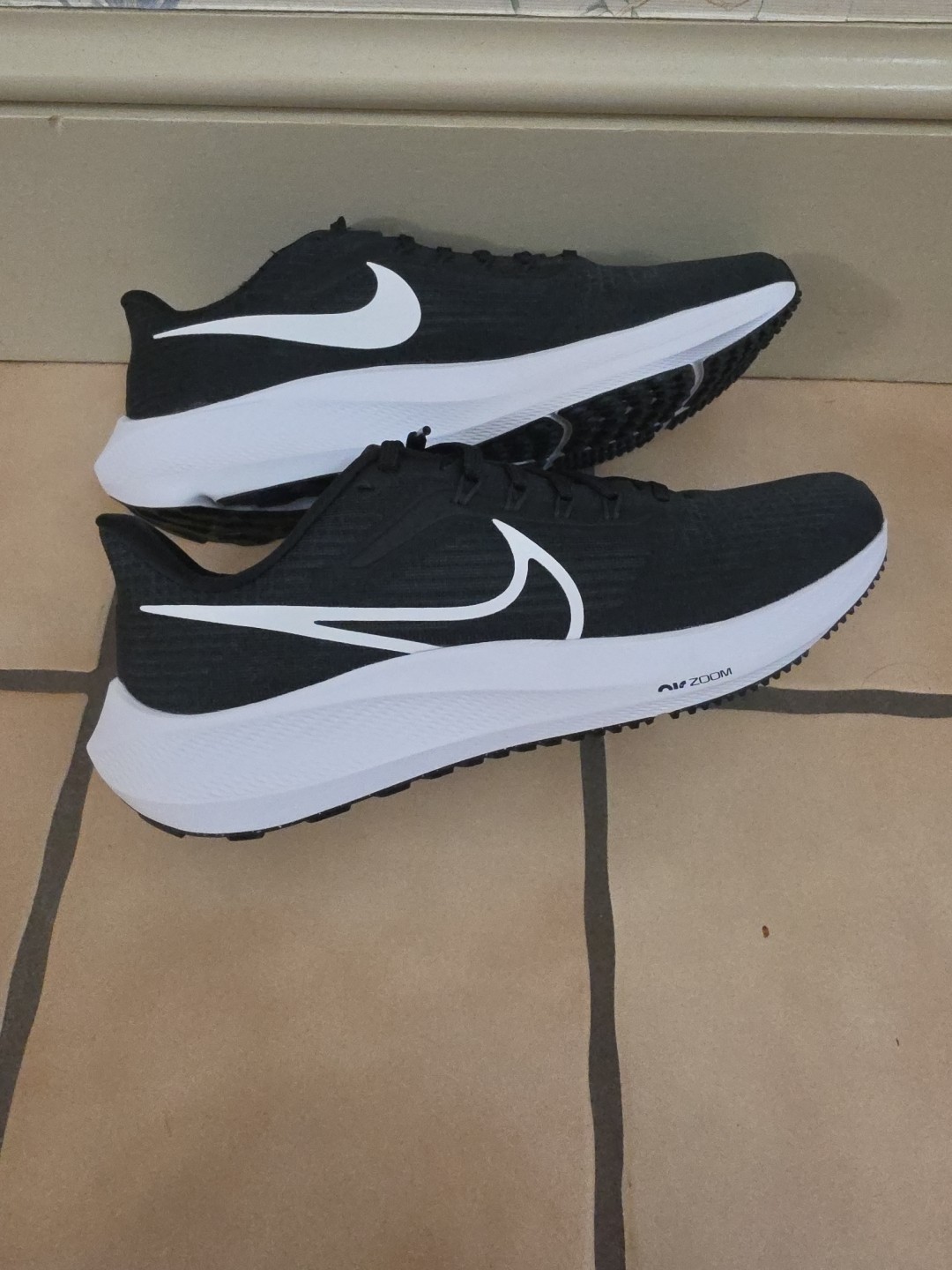 Size 10 – Nike Air Zoom Pegasus 39