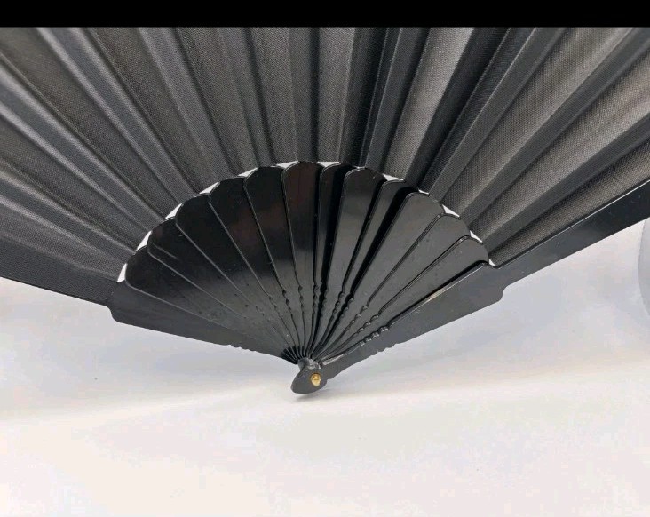 Folding Fan Hand Classic Style Fabric Plastic Handle Black Pack Of 10