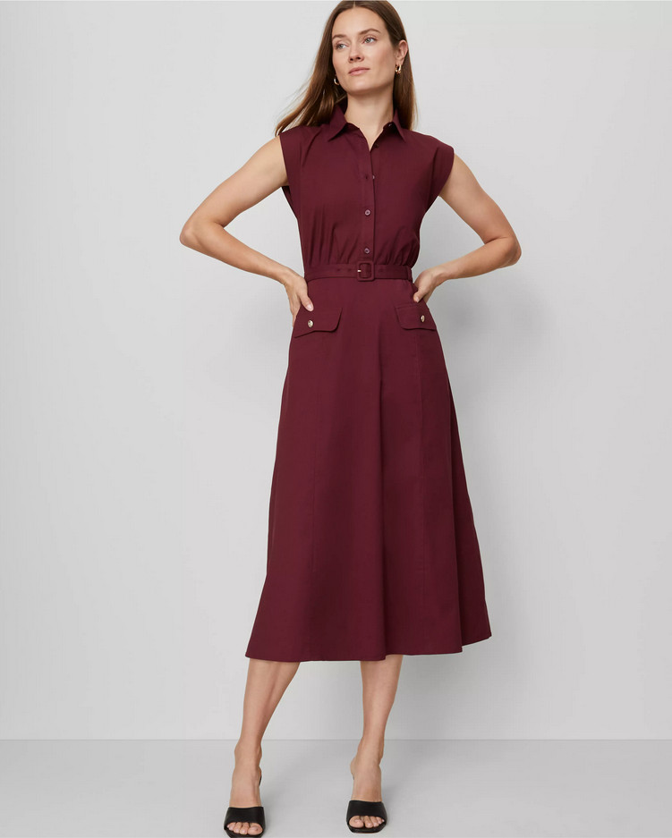 ANN TAYLOR $179 NIGHT SKY BELTED FLARE MIDI SHIRTDRESS DRESS SZ 10P 10 PETITE