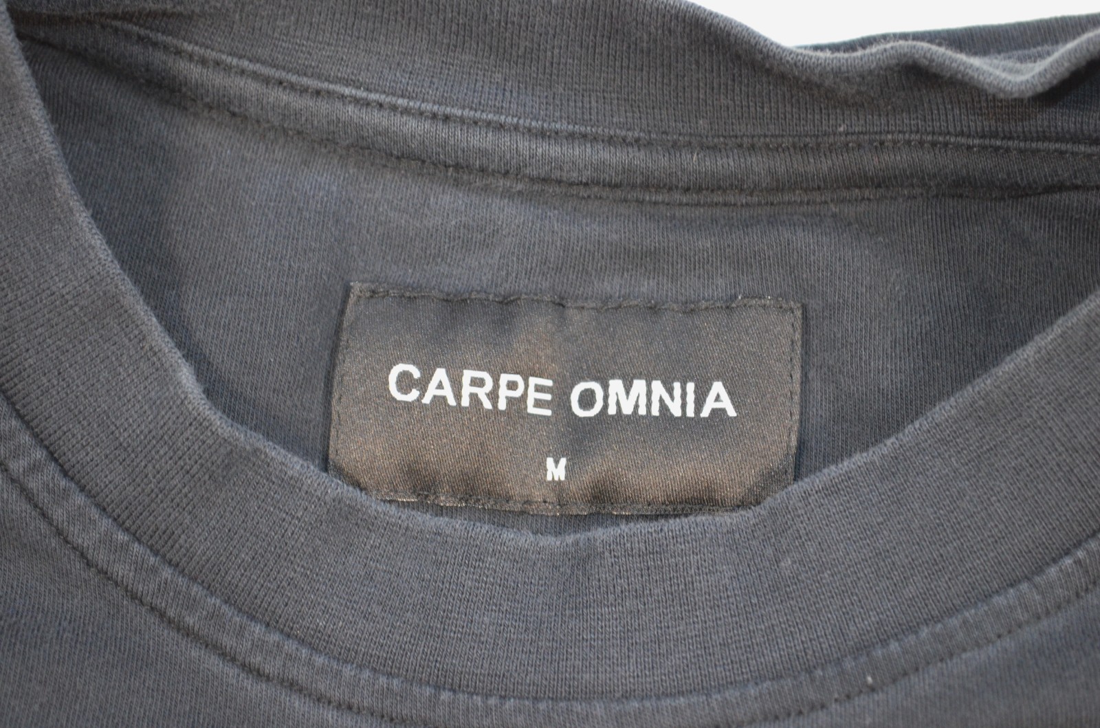Carpe Omnia Men’s Short Sleeve Cotton T Shirt Seize Everything Medium 2018