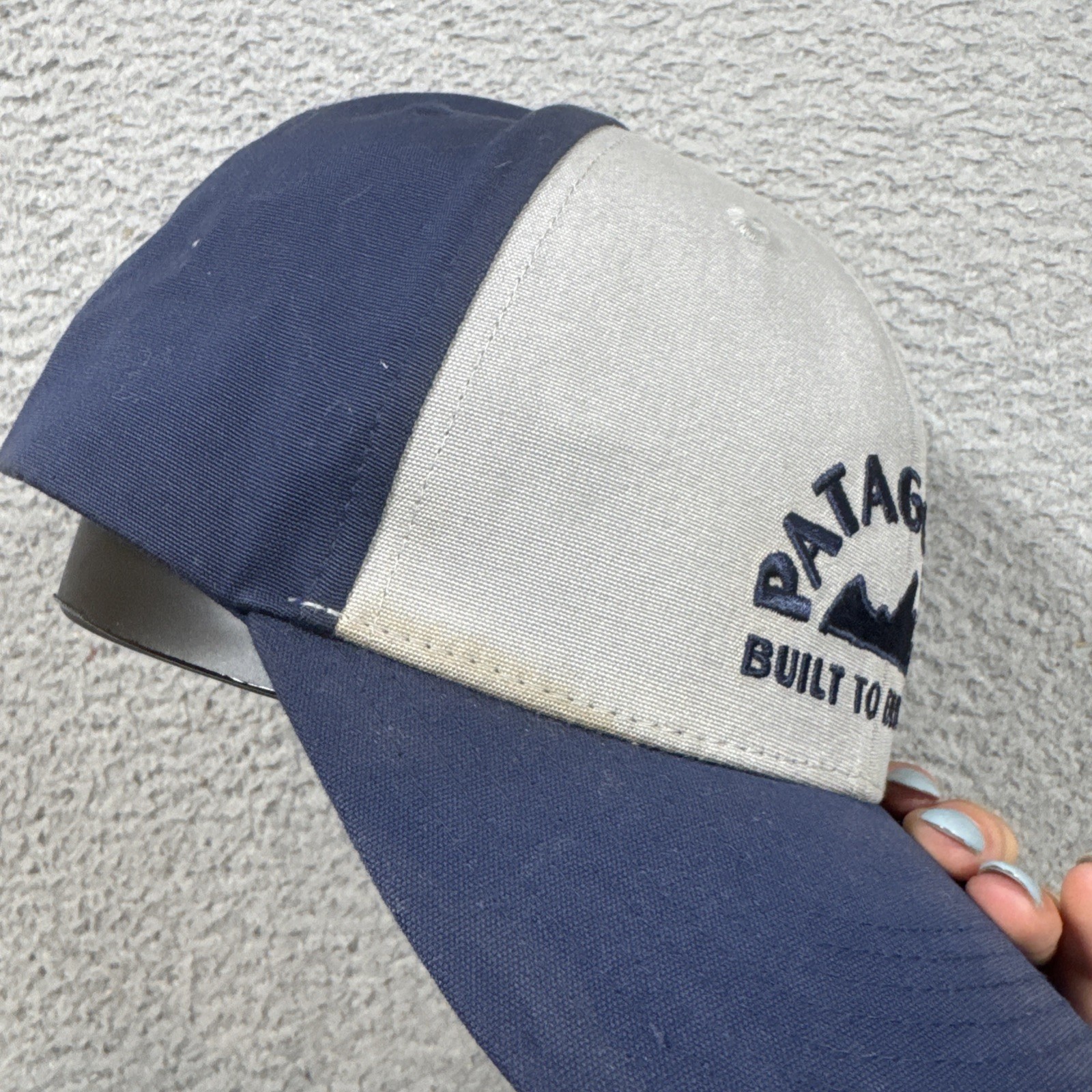 Patagonia Built To Endure Cap Spell Out Logo Snap Back Hat Geologer Roger That