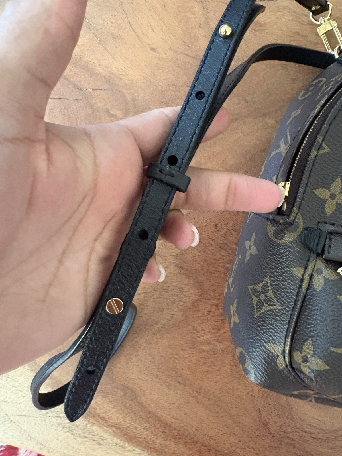 Louis Vuitton Palm Springs Backpack Mini Brown Canvas Monogram