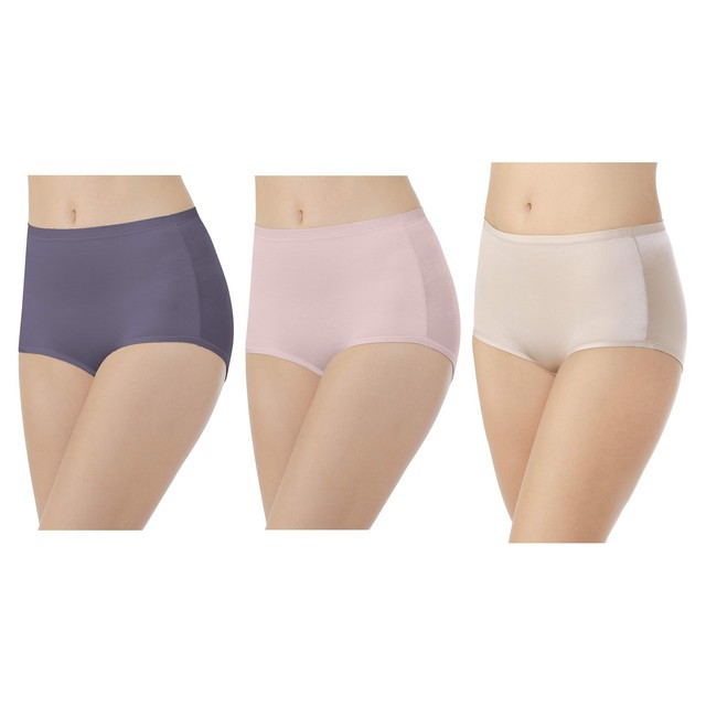3 Pack Vanity Fair Body Caress Brief 13438 New Blue Quartz Coconut Sz 6 NWT