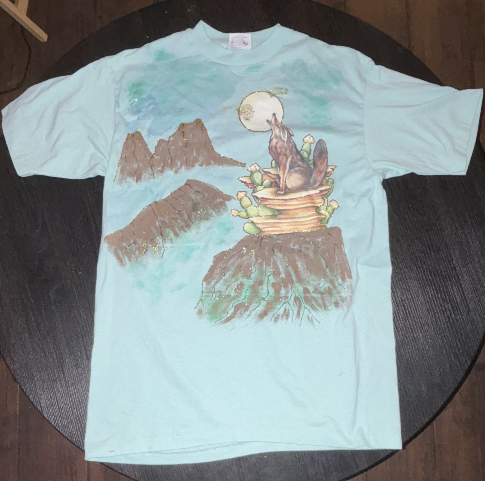 Hanes Fifty-Fifty Cactus Graphic hand paint Light Blue Men’s Crew Neck T-Shirt L