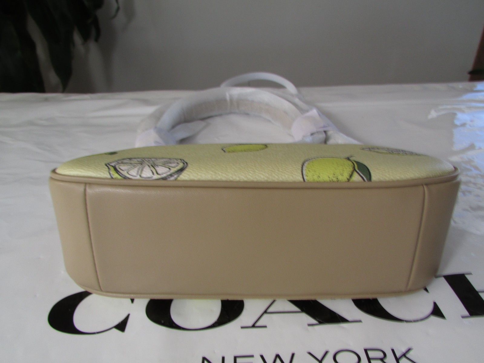 NWT Coach Teri Shoulder Bag With Lemon Print CBA53 Garden Glade Multi