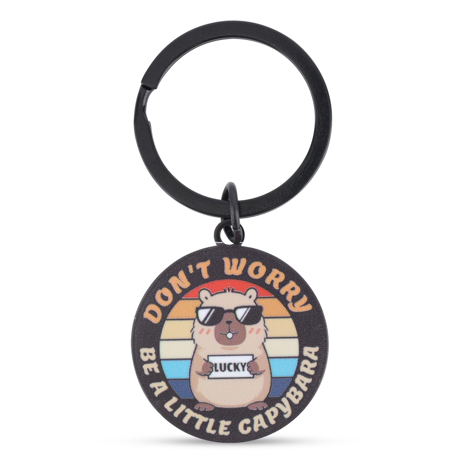 Mikovivi Multicolored Keychain, Stainless Steel & Iron, Medium Size, Fun