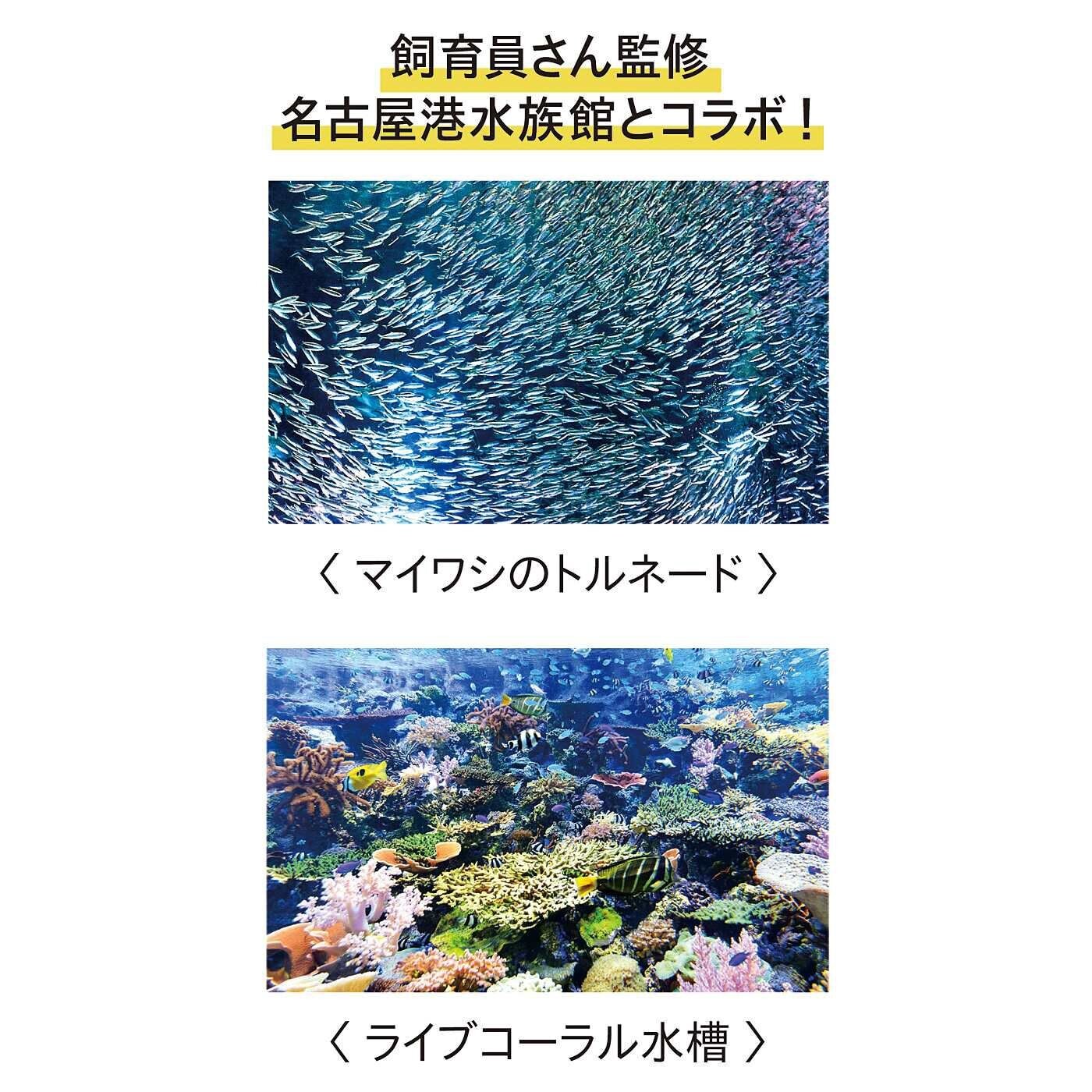 FELISSIMO YOU+MORE! Like an Aquarium Transparent Umbrella 2 Types JAPAN NEW
