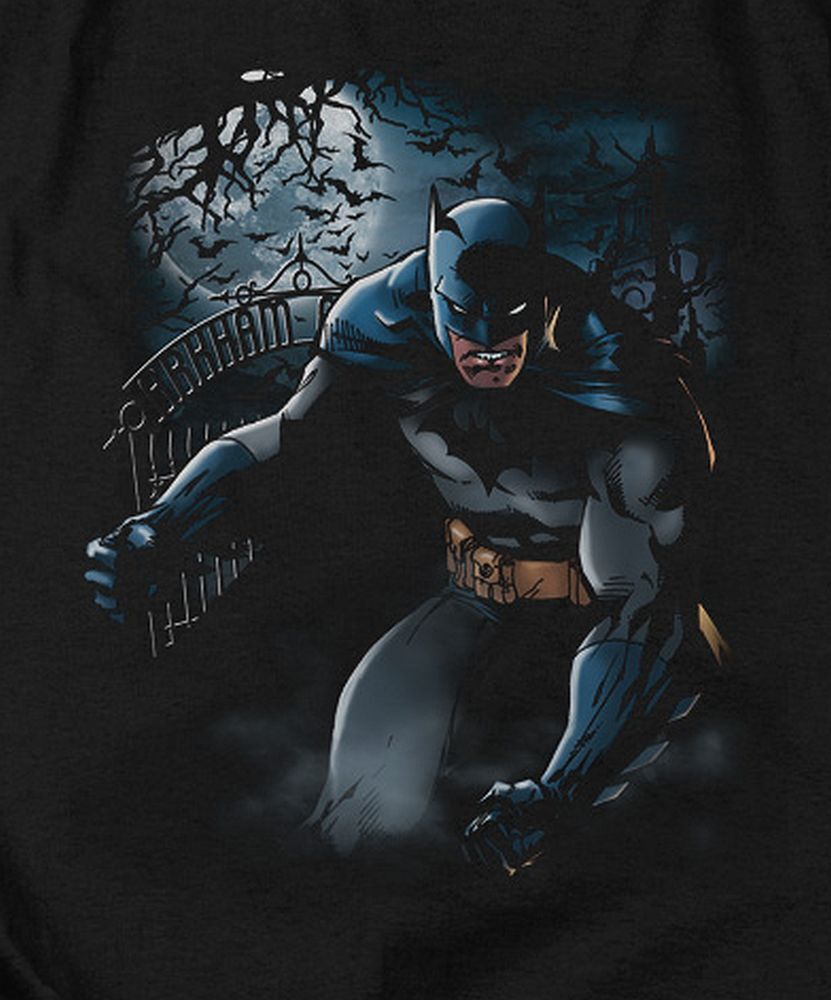 Batman “Light Of The Moon” Pullover Hoodie, Sweatshirt or Long Sleeve T-Shirt