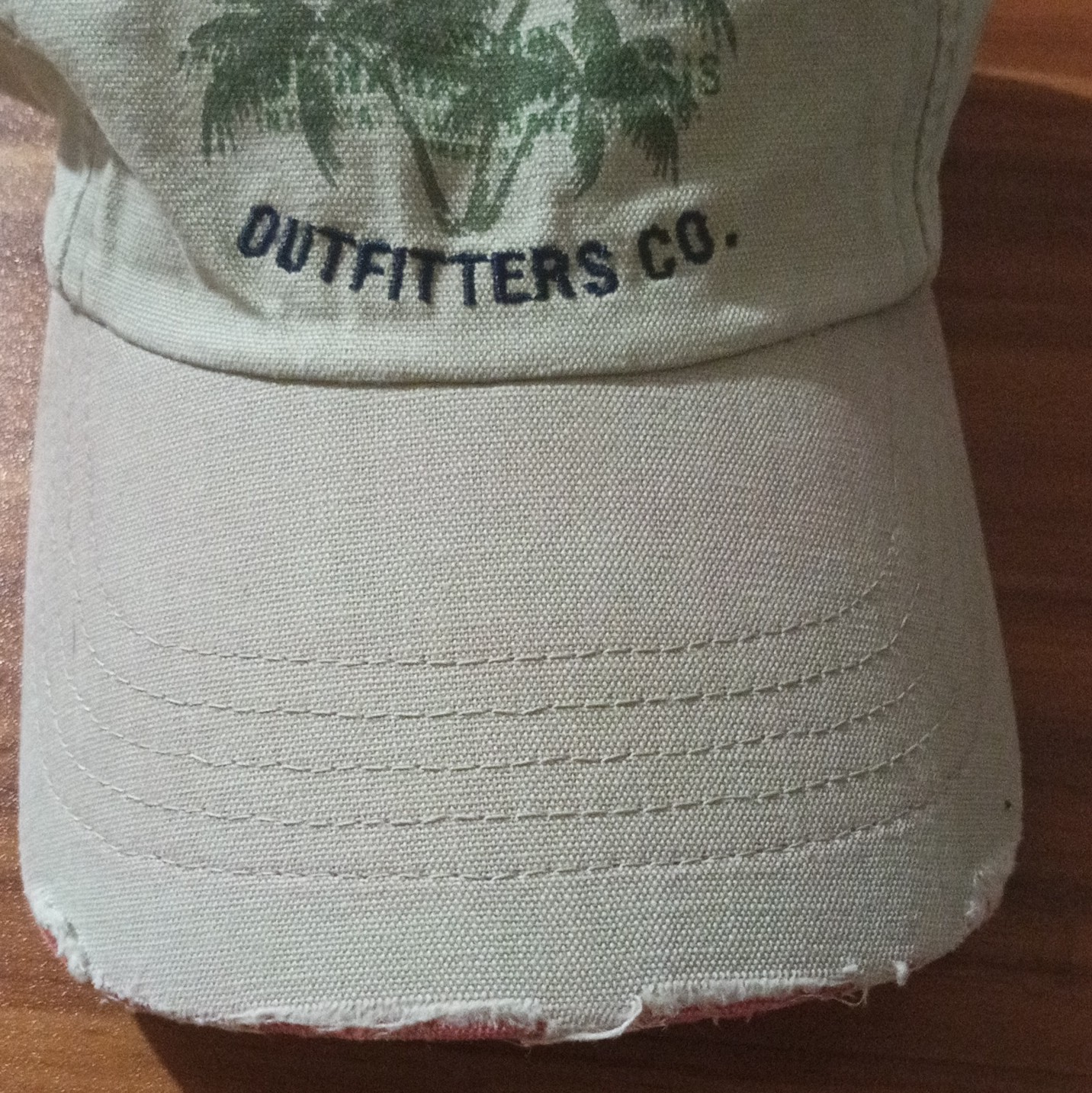 Vtg American Eagle Outfitters Palm Tree Dad Hat Distressed Made in Taiwan Y2K