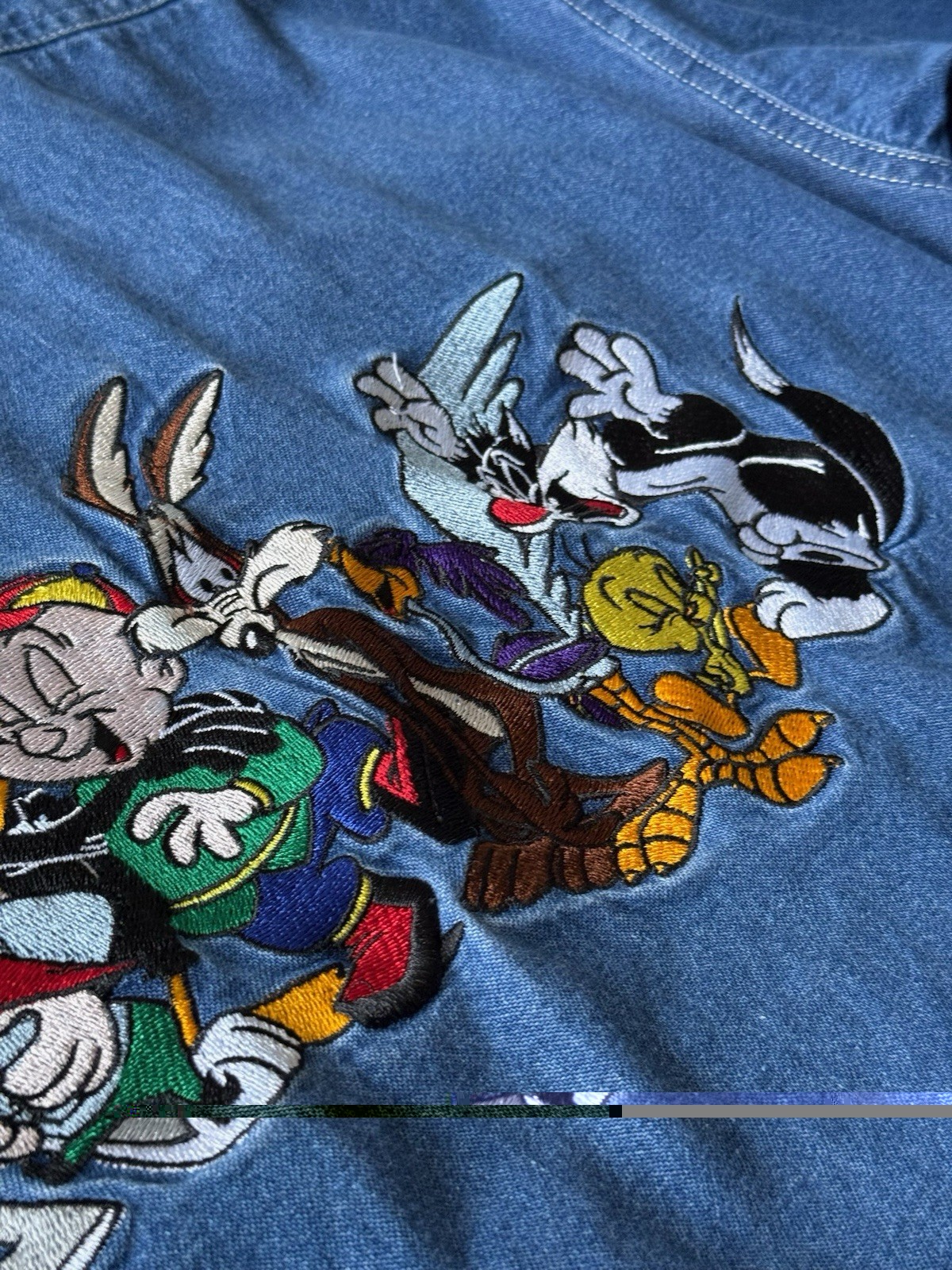 Warner Bros Studio Store Looney Tunes Denim Shirt Embroidered Vintage 90s Sz Sm