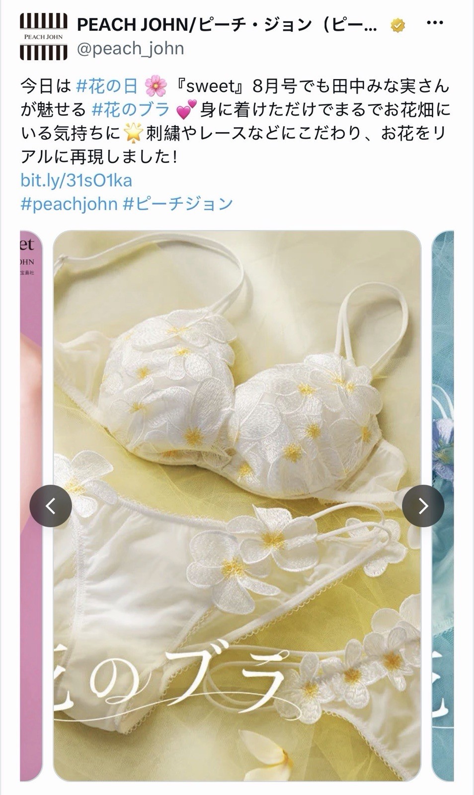 US-34B/JP-C75 Japanese High Class Sew On 3D Frangipani Embroidery Bra Panty Set