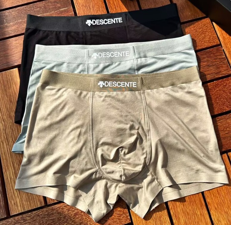 Men New Descente Modal Breathable Boxer Underwear Shorts