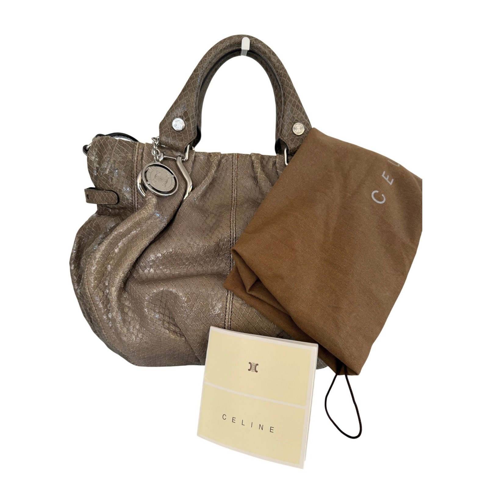 Celine Vintage Python Leather Boogie Bag Exotic Satchel Crossbody Triomphe Medal