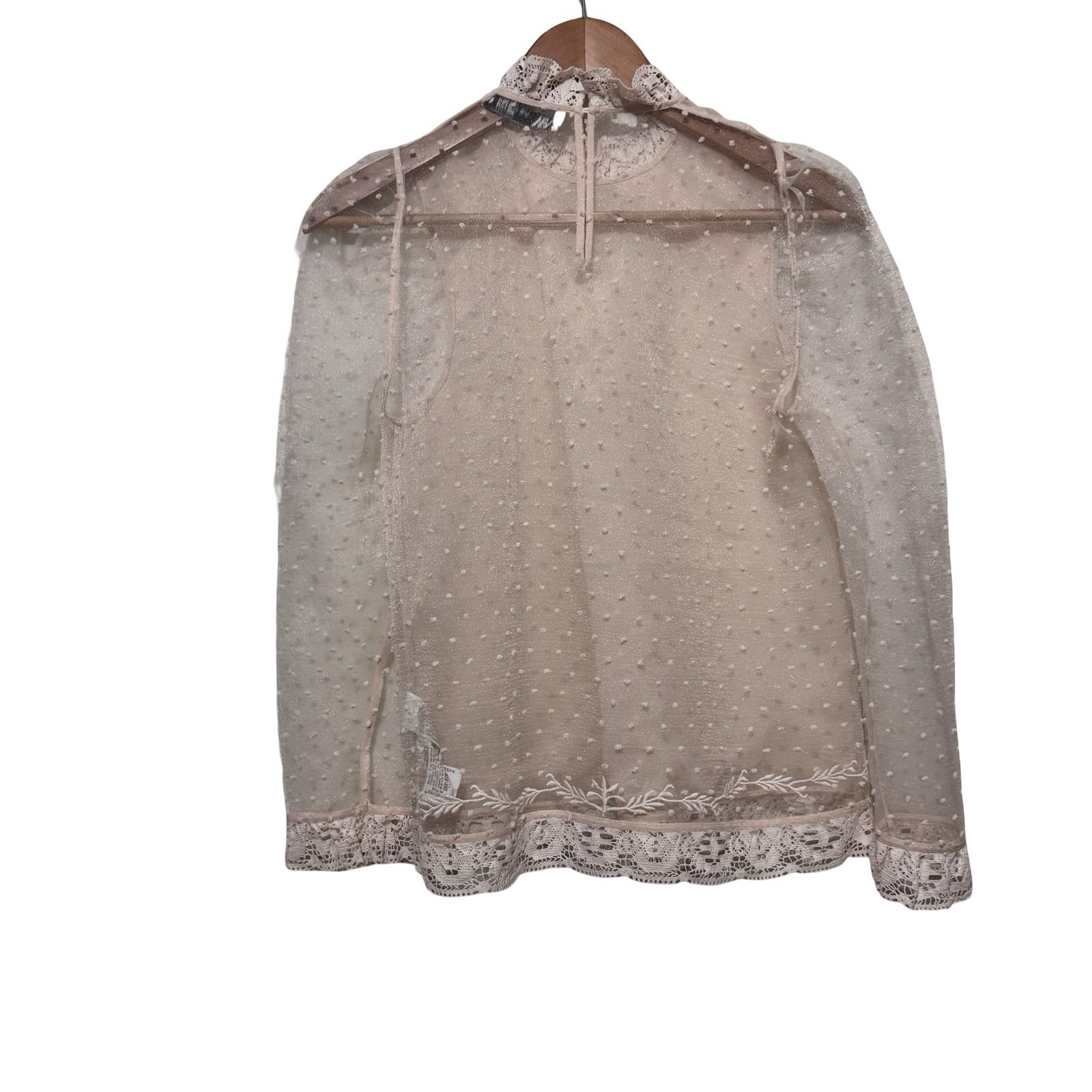 Zara Victorian Puff Sleeve semi sheer blouse embroidered size XS swiss dot