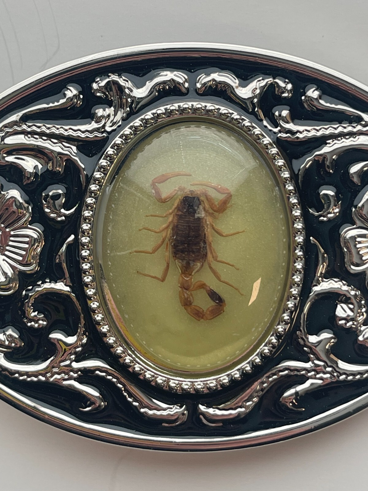 Real Scorpion Belt Buckle Glow in the Dark – Insects in Resin – Taxidermy Gifts