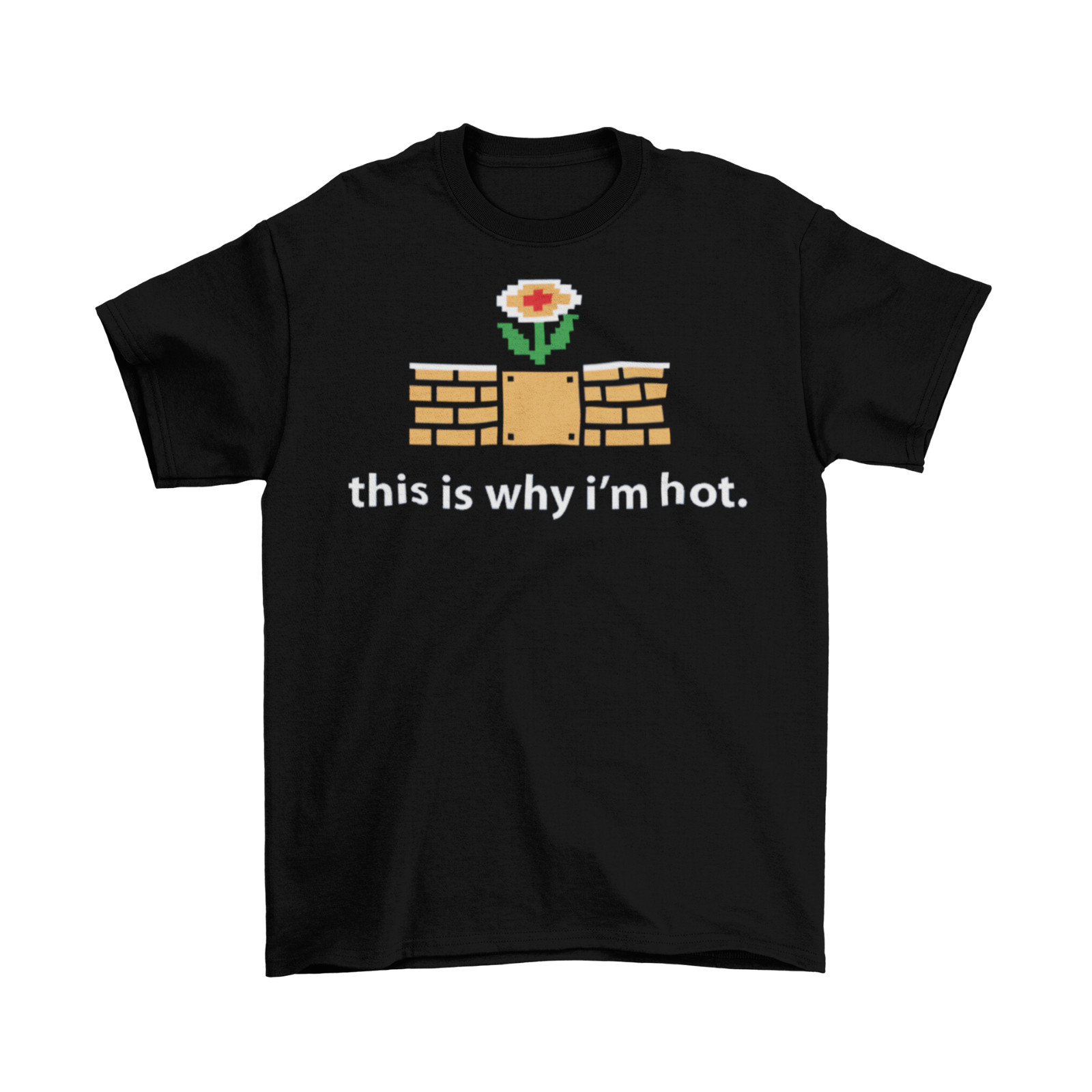 This Is Why I’m Hot Fire Flower T-Shirt Unisex Adult Funny Sizes Mario Nintendo
