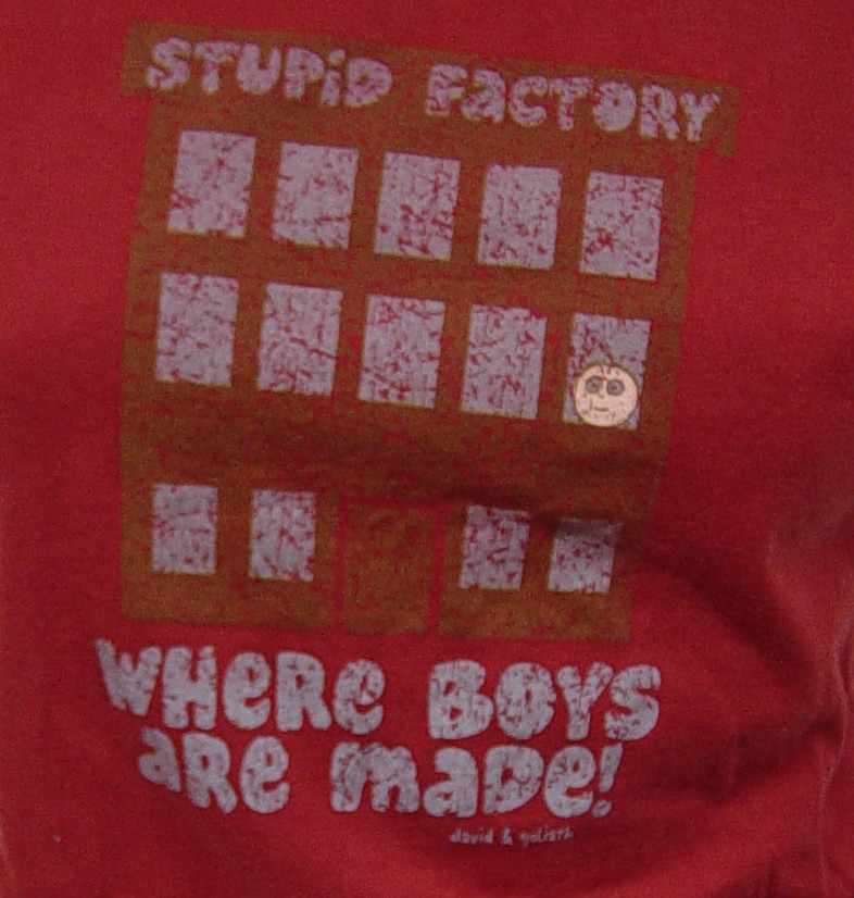 Womens Juniors David & Goliath Stupid Factory Distressed Red Tee T-Shirt