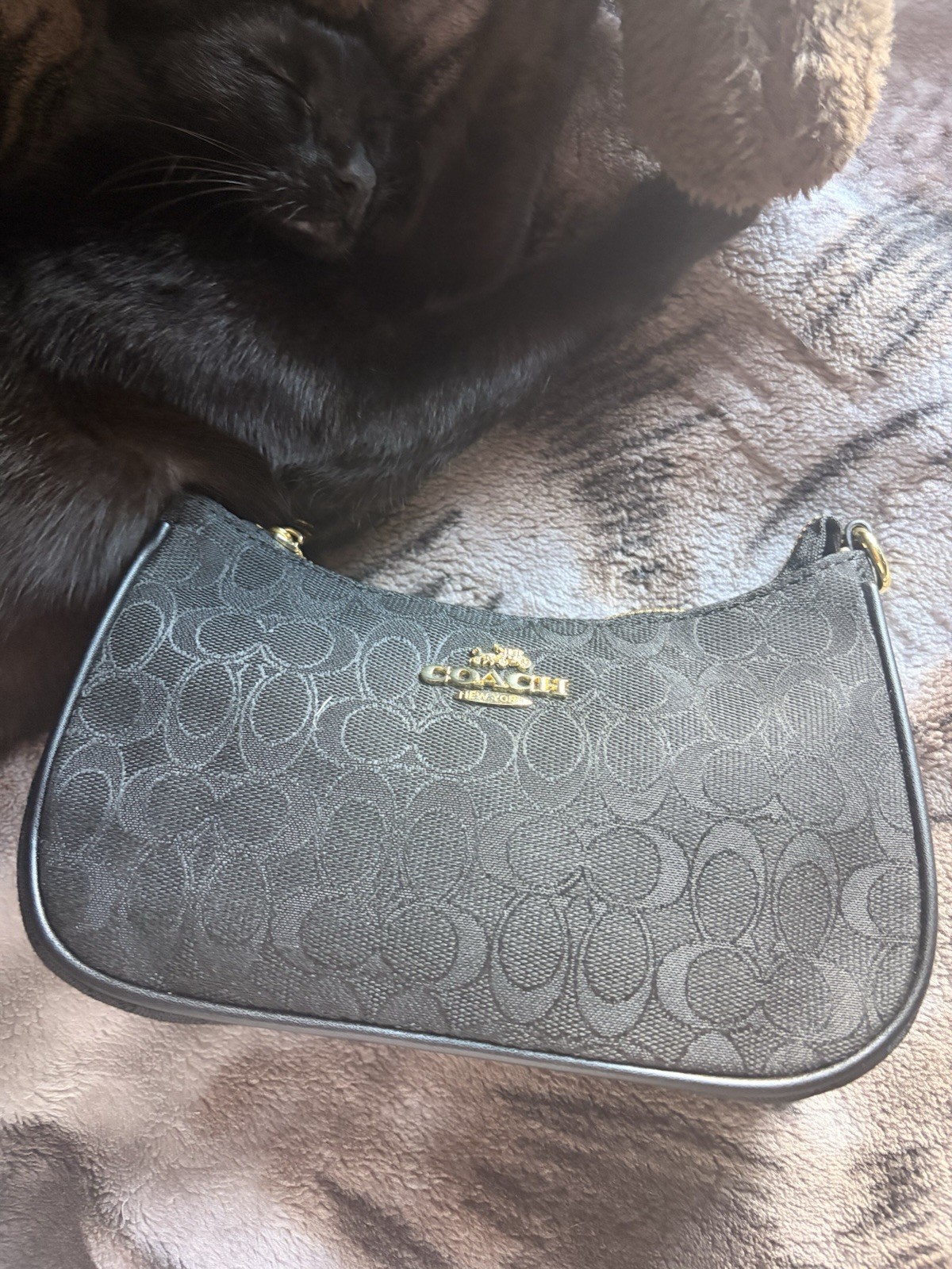 Coach Signature Small Crescent Zip Shoulder Bag Black Gold Detachable Strap