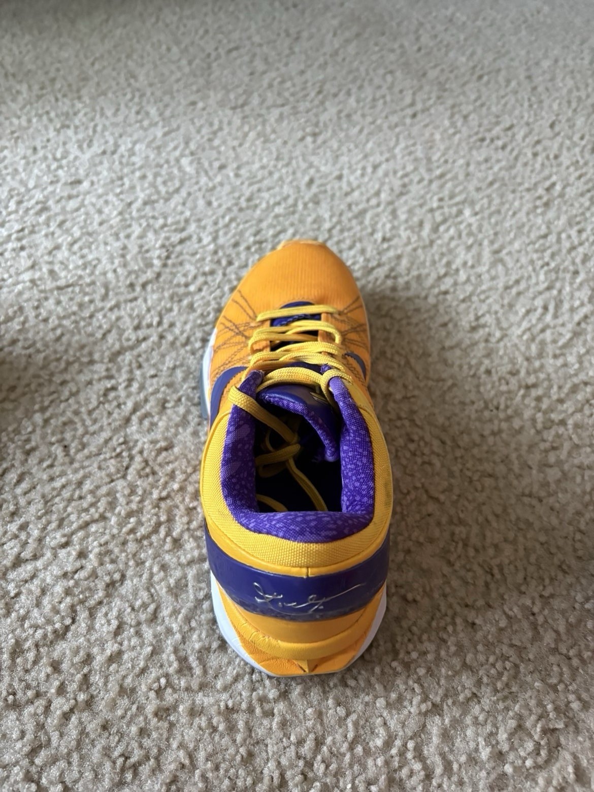 Nike Men’s Basketball Low Top Lace-Up Sneakers Purple/Yellow Colorblock Rubber