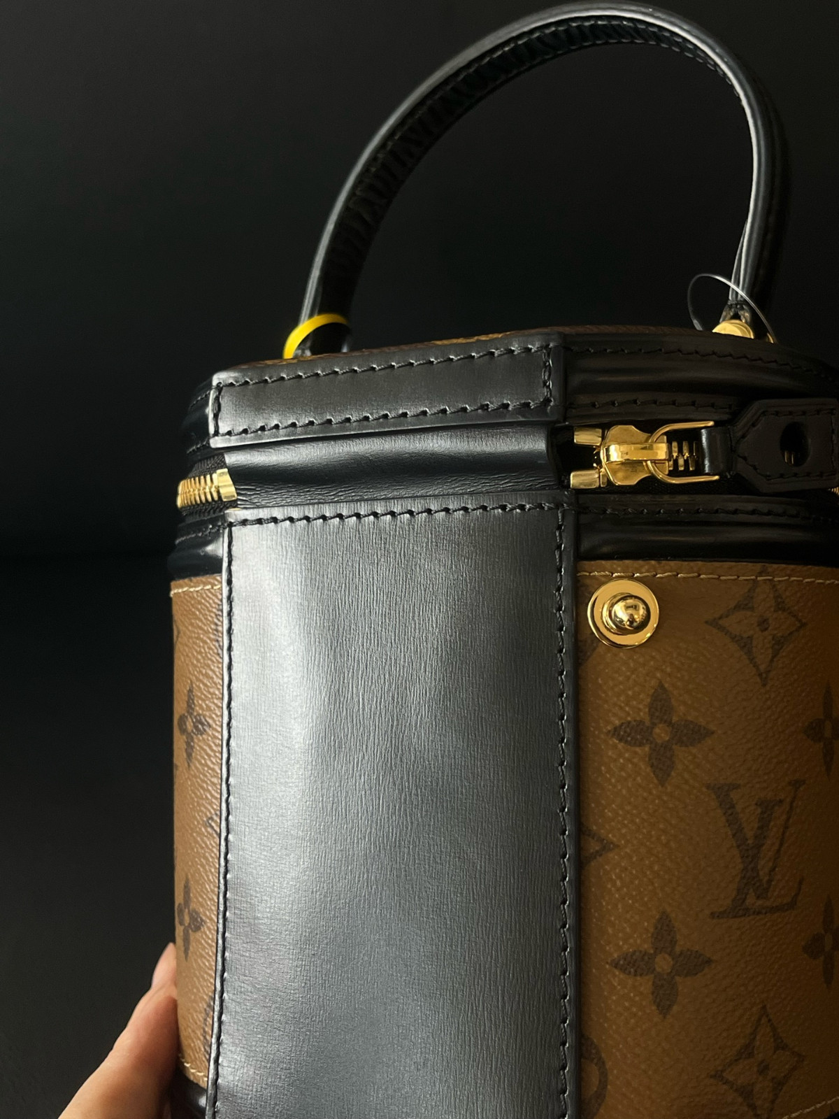 Authentic Louis Vuitton Cannes Monogram Canvas Top Handle Bag Brown Gold-Tone