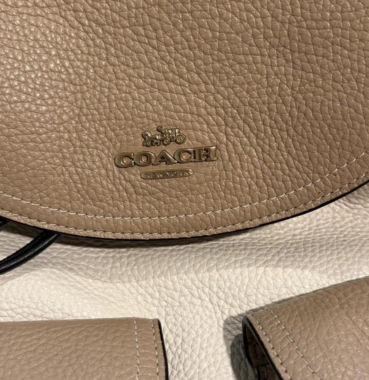 Coach Pennie Backpack Bag Colorblock In Pebbled Leather Cream Tan 6146