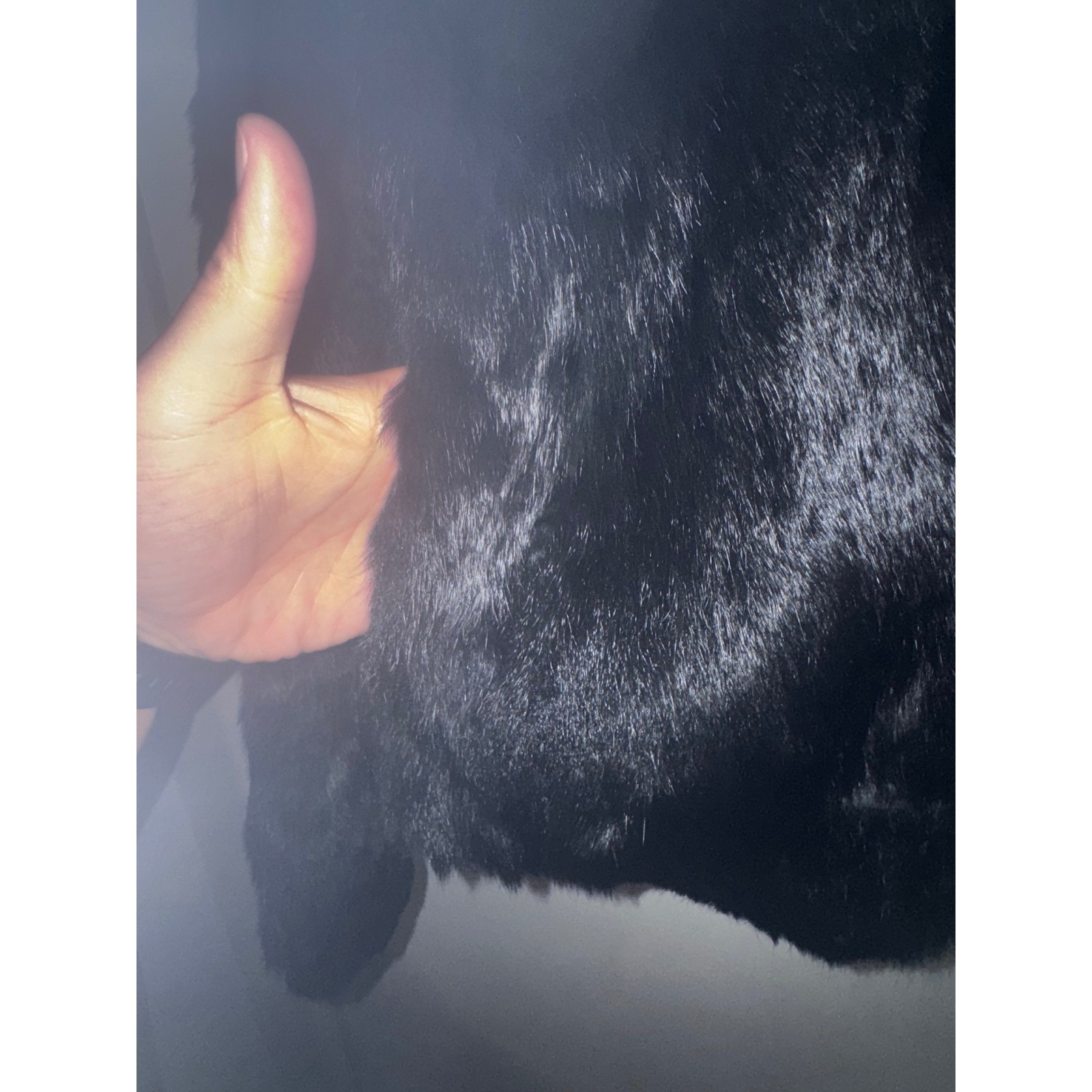Wilsons Leather Black Genuine Fur Jacket Womens XL Coat Luxury Mob Wife FLAW
