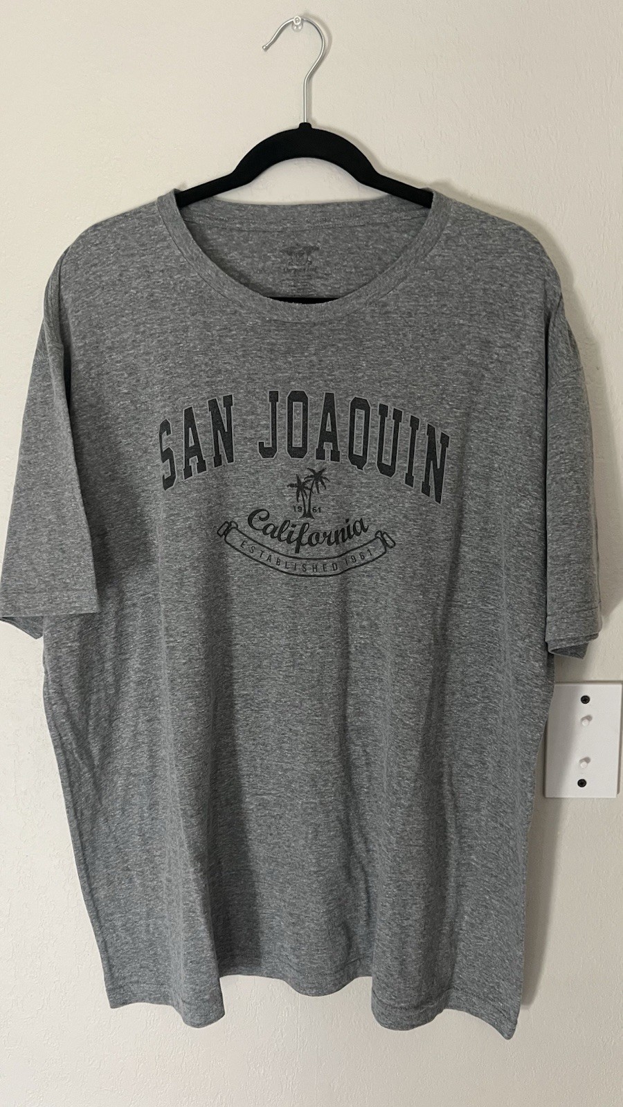 San Joaquin California Est 1961 Graphic T-Shirt Men’s Size XL Gray Palm Trees