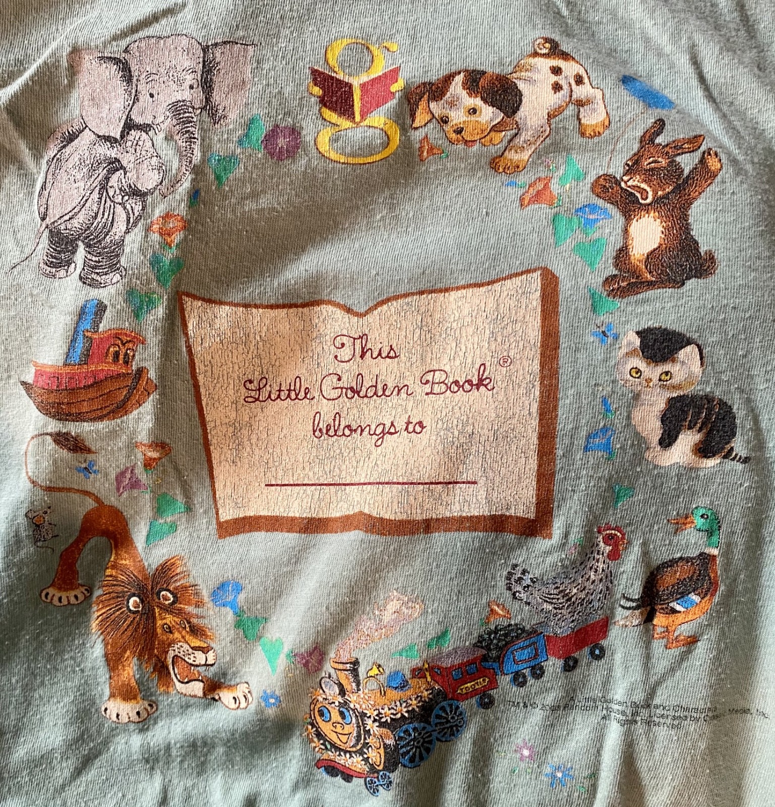 Vintage Little Golden Books graphic baby tee, 2003, light green, size Medium