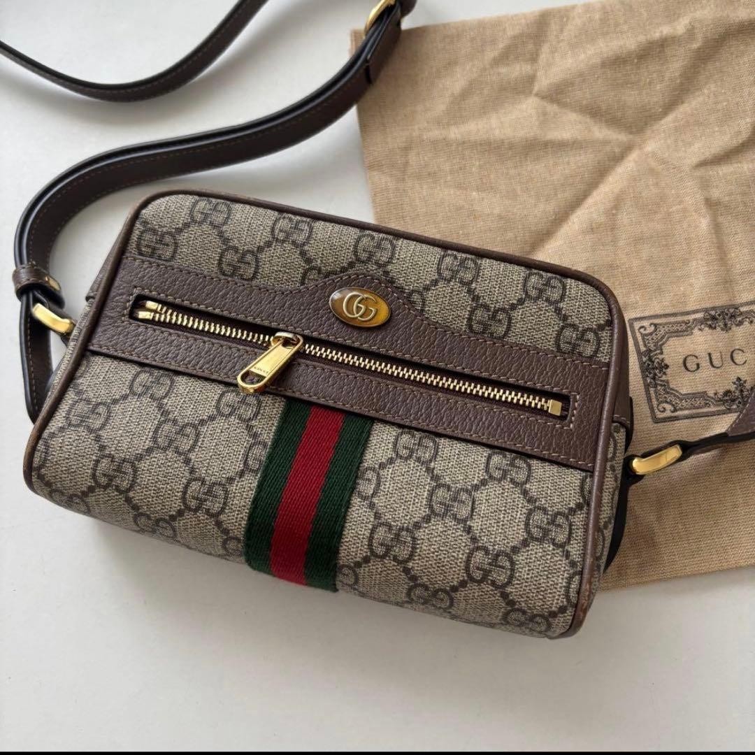 GUCCI Minnie Shoulder Bag Ophidia Gift Present 0620b