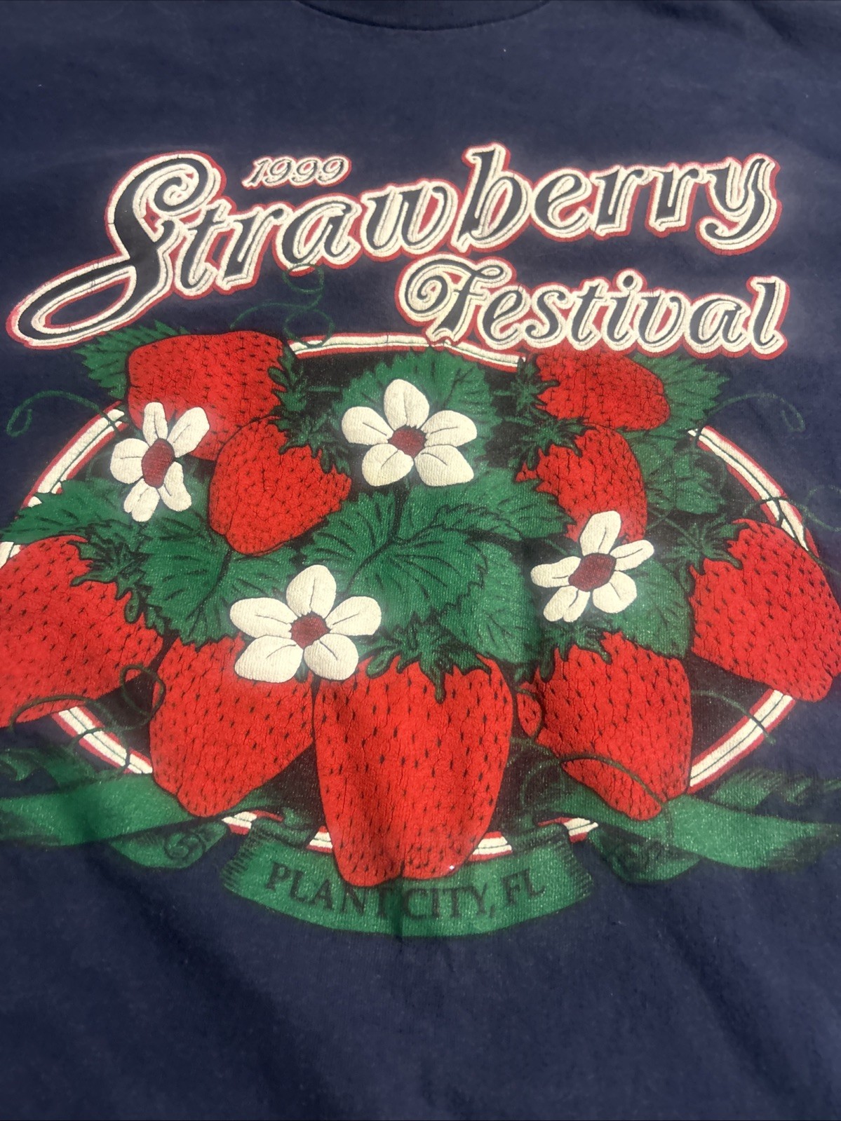 Vintage L Strawberry Festival Plant City Fl 1999 Big Logo Size XXL