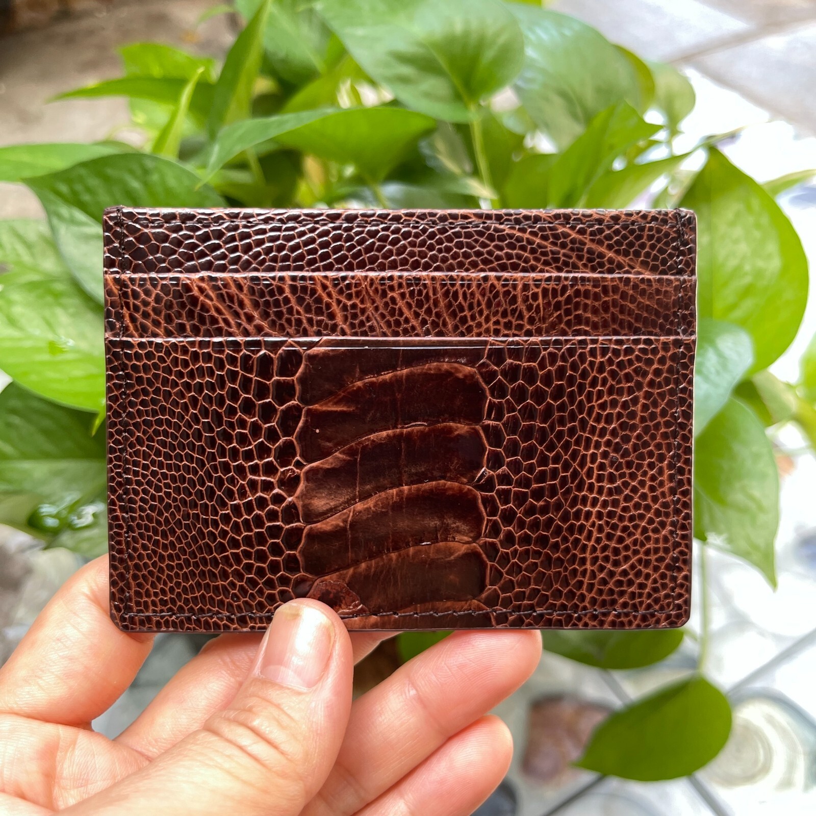 BrownGENUINE OSTRICH LEATHER SKIN CREDIT CARD HOLDER/ WALLET CARD HOLDER FOR MEN